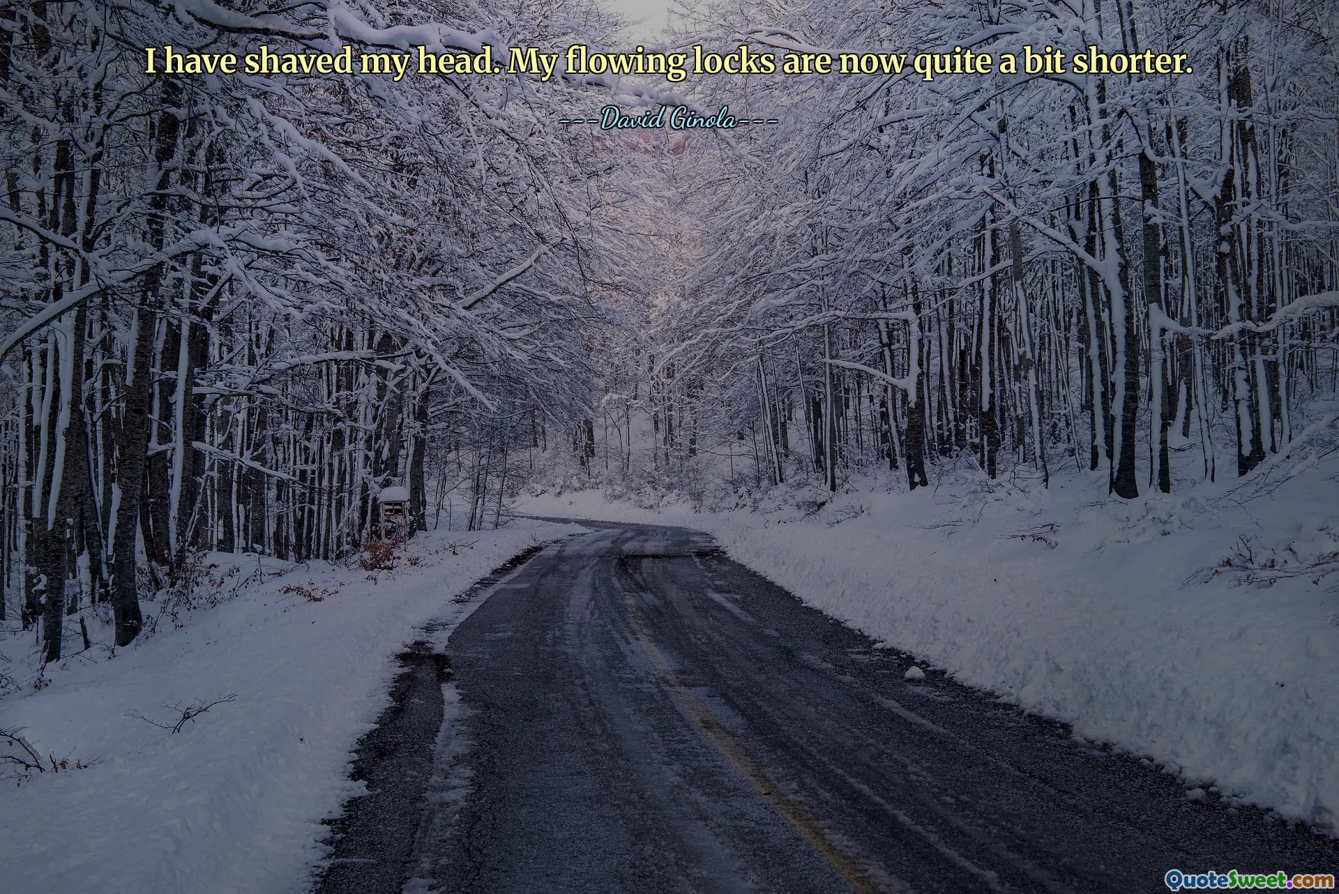 I have shaved my head. My flowing locks are now quite a bit shorter.