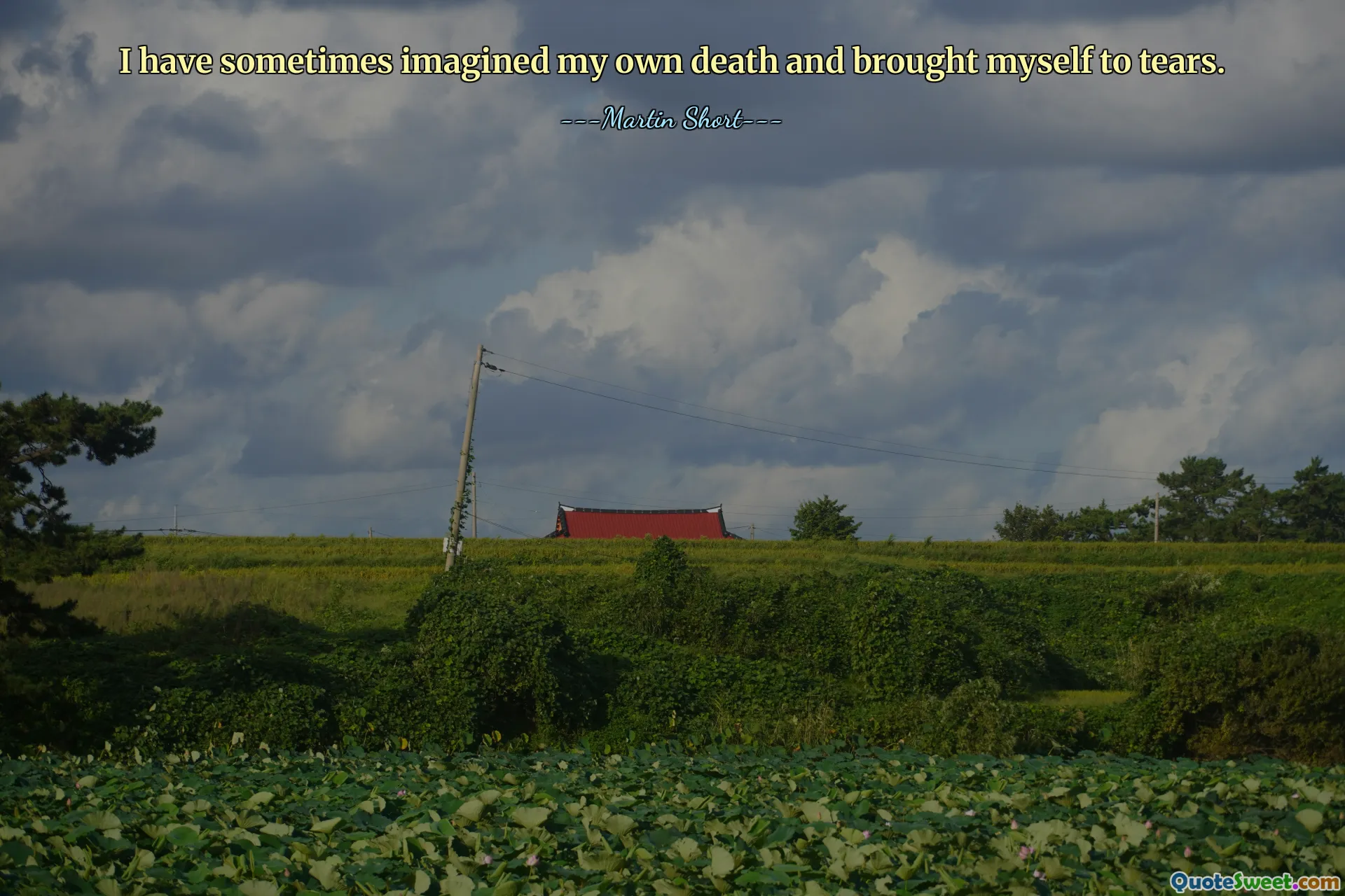 I have sometimes imagined my own death and brought myself to tears.