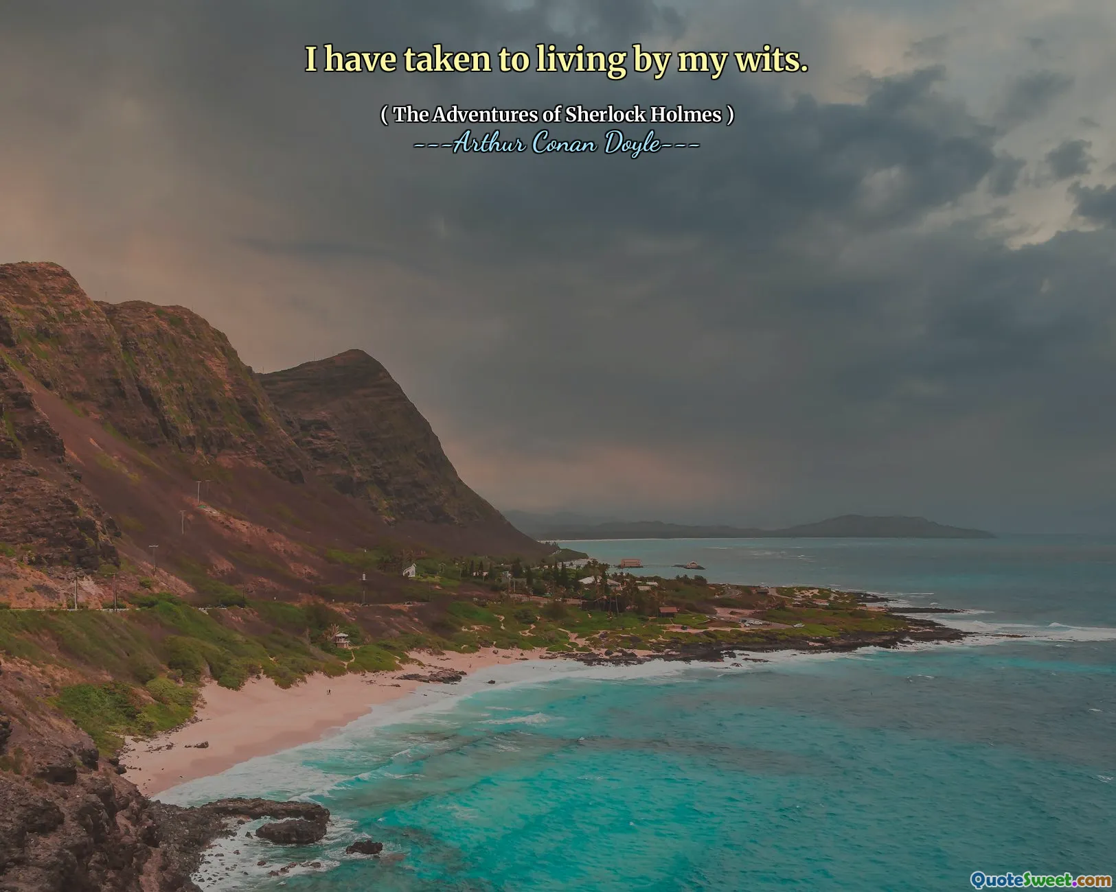 I have taken to living by my wits.