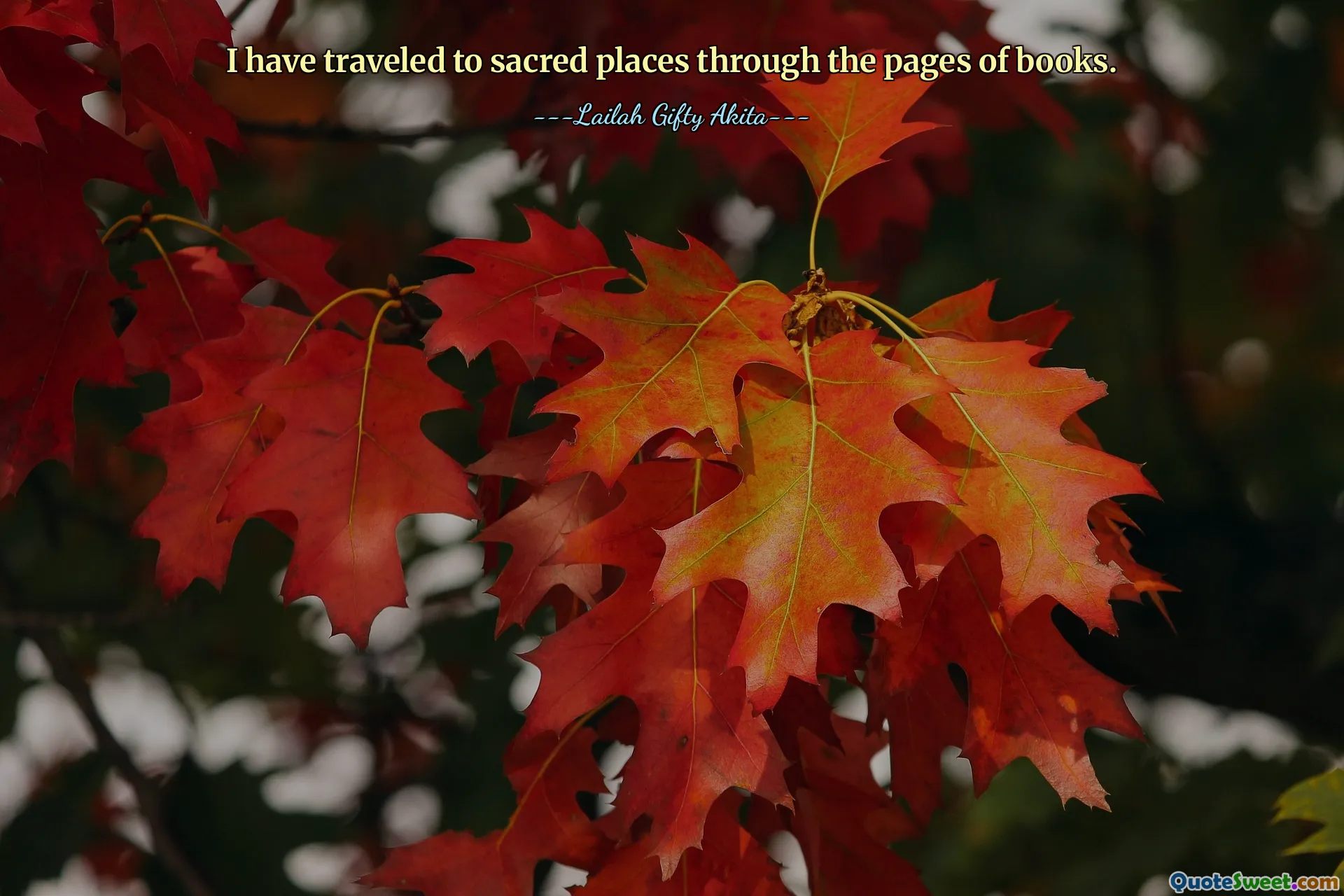 I have traveled to sacred places through the pages of books.