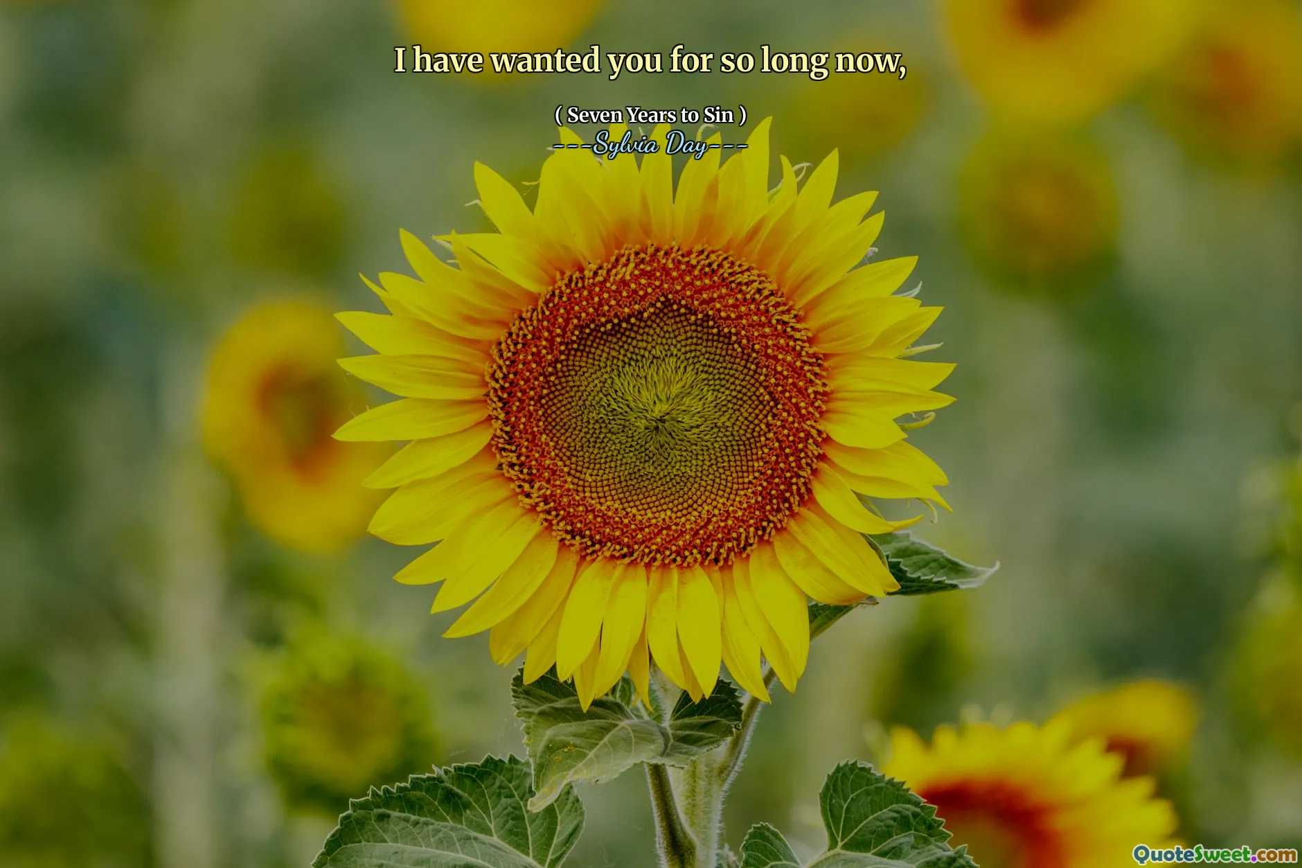 I have wanted you for so long now,