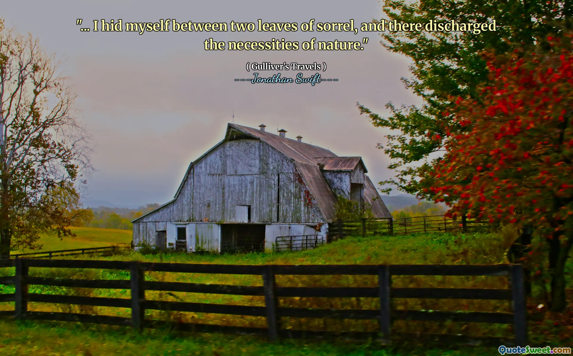 "... I hid myself between two leaves of sorrel, and there discharged the necessities of nature."