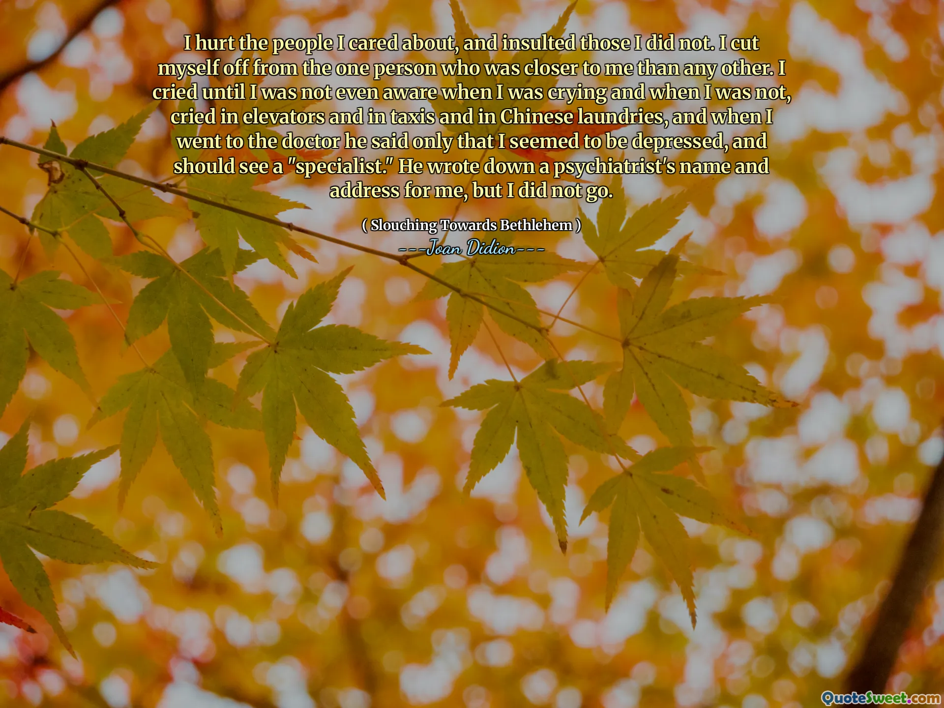 I hurt the people I cared about, and insulted those I did not. I cut myself off from the one person who was closer to me than any other. I cried until I was not even aware when I was crying and when I was not, cried in elevators and in taxis and in Chinese laundries, and when I went to the doctor he said only that I seemed to be depressed, and should see a "specialist." He wrote down a psychiatrist's name and address for me, but I did not go.