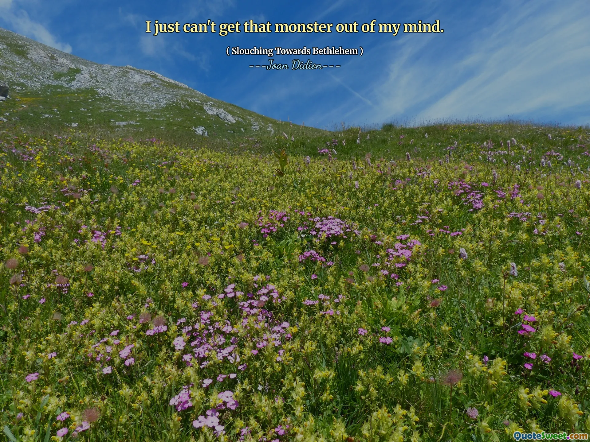 我只是无法摆脱那个怪物。