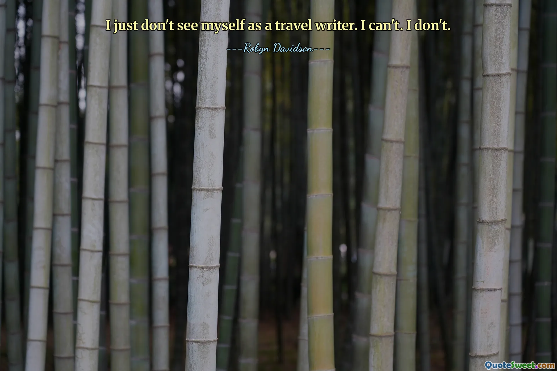 Ich sehe mich einfach nicht als Reiseschriftsteller. Ich kann nicht. Ich tu nicht.
