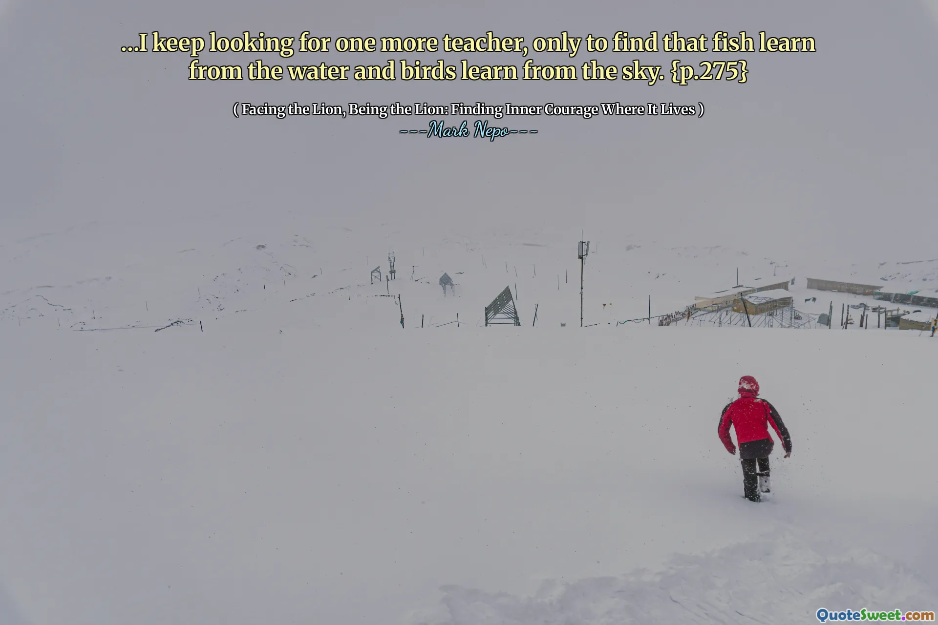 ... Jag fortsätter att leta efter ytterligare en lärare, bara för att hitta att fisk lär sig av vattnet och fåglarna lär av himlen. {s.275}
