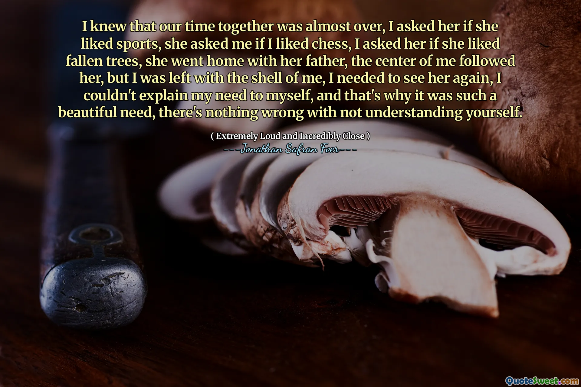 I knew that our time together was almost over, I asked her if she liked sports, she asked me if I liked chess, I asked her if she liked fallen trees, she went home with her father, the center of me followed her, but I was left with the shell of me, I needed to see her again, I couldn't explain my need to myself, and that's why it was such a beautiful need, there's nothing wrong with not understanding yourself.