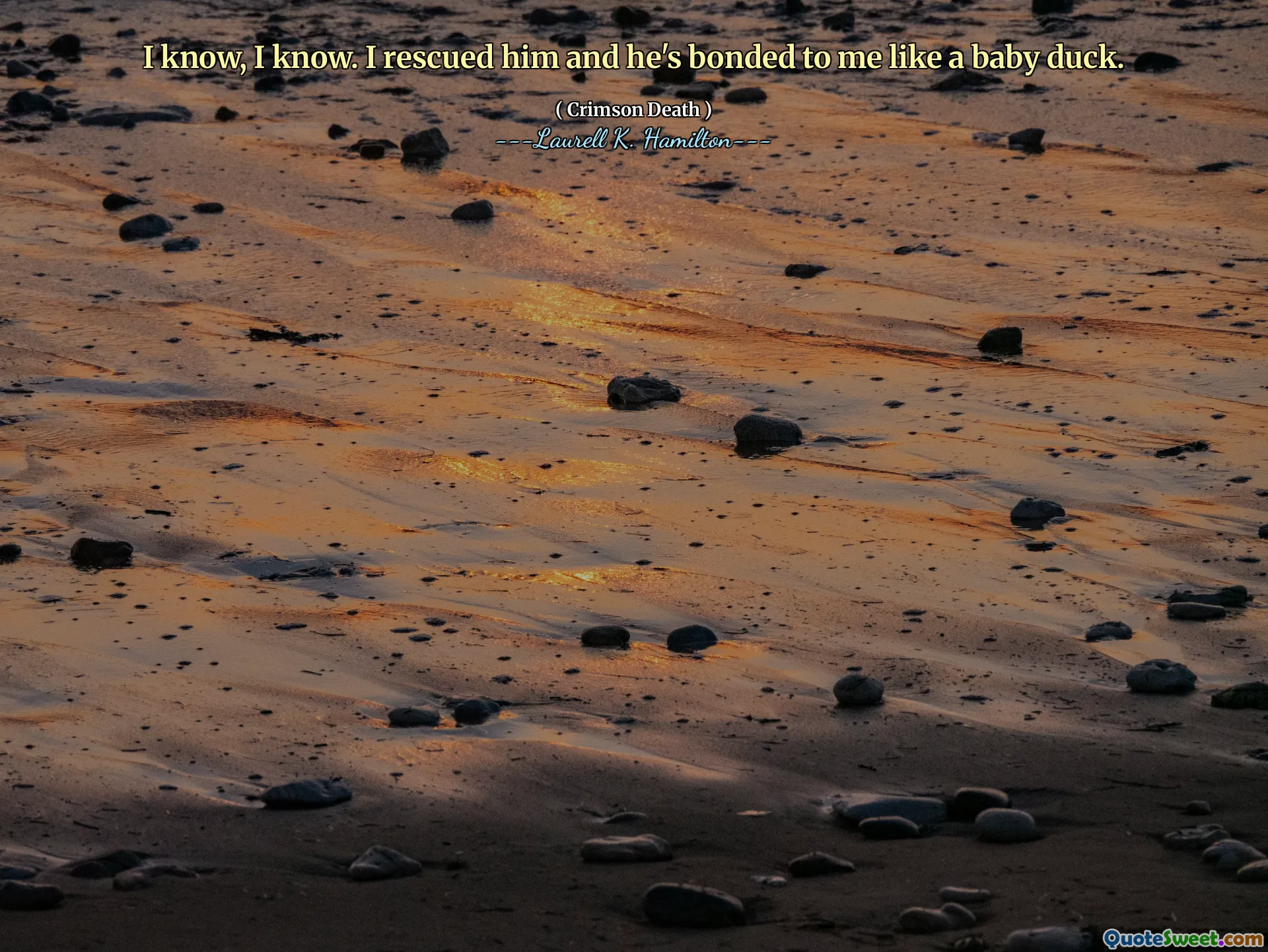 I know, I know. I rescued him and he's bonded to me like a baby duck.