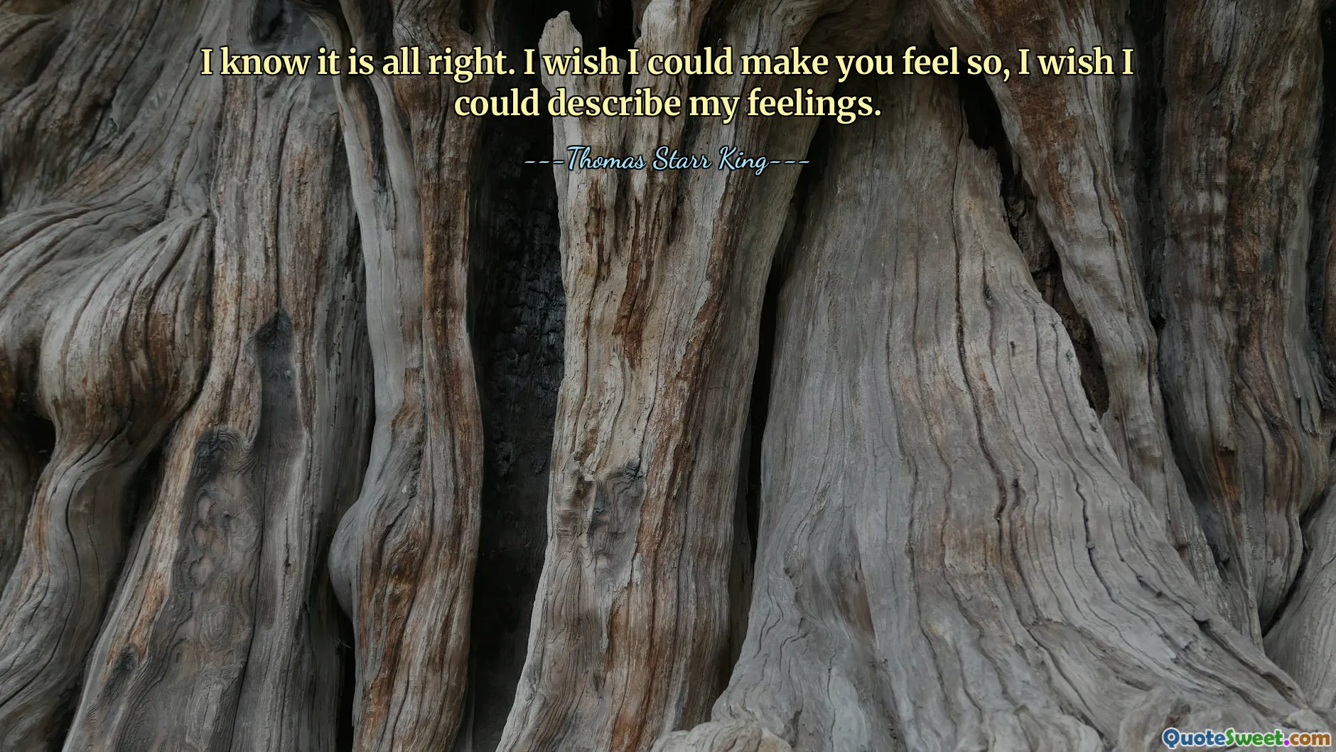 Jeg vet at det er greit. Jeg skulle ønske jeg kunne få deg til å føle det slik, jeg skulle ønske jeg kunne beskrive følelsene mine.