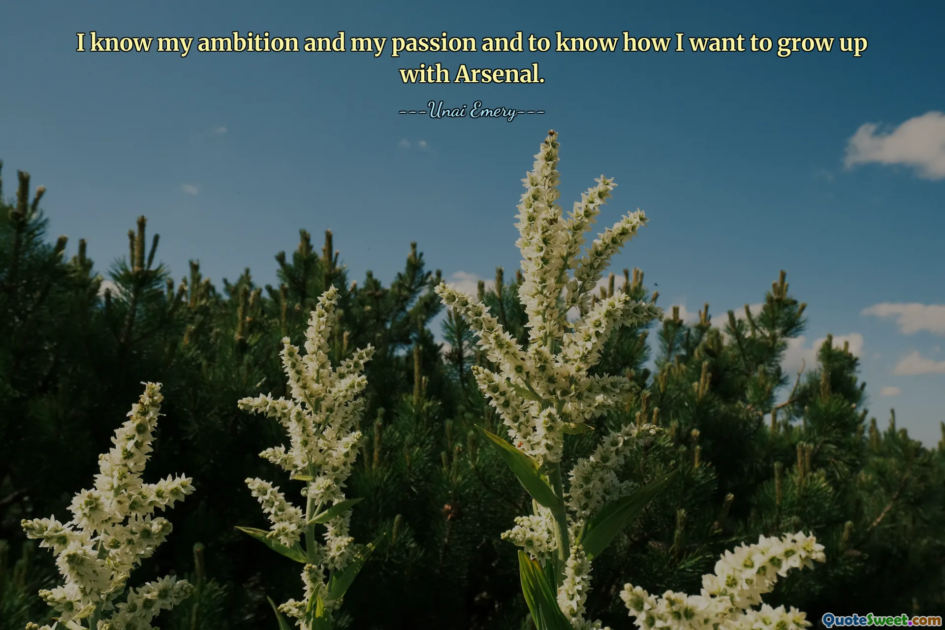 I know my ambition and my passion and to know how I want to grow up with Arsenal.