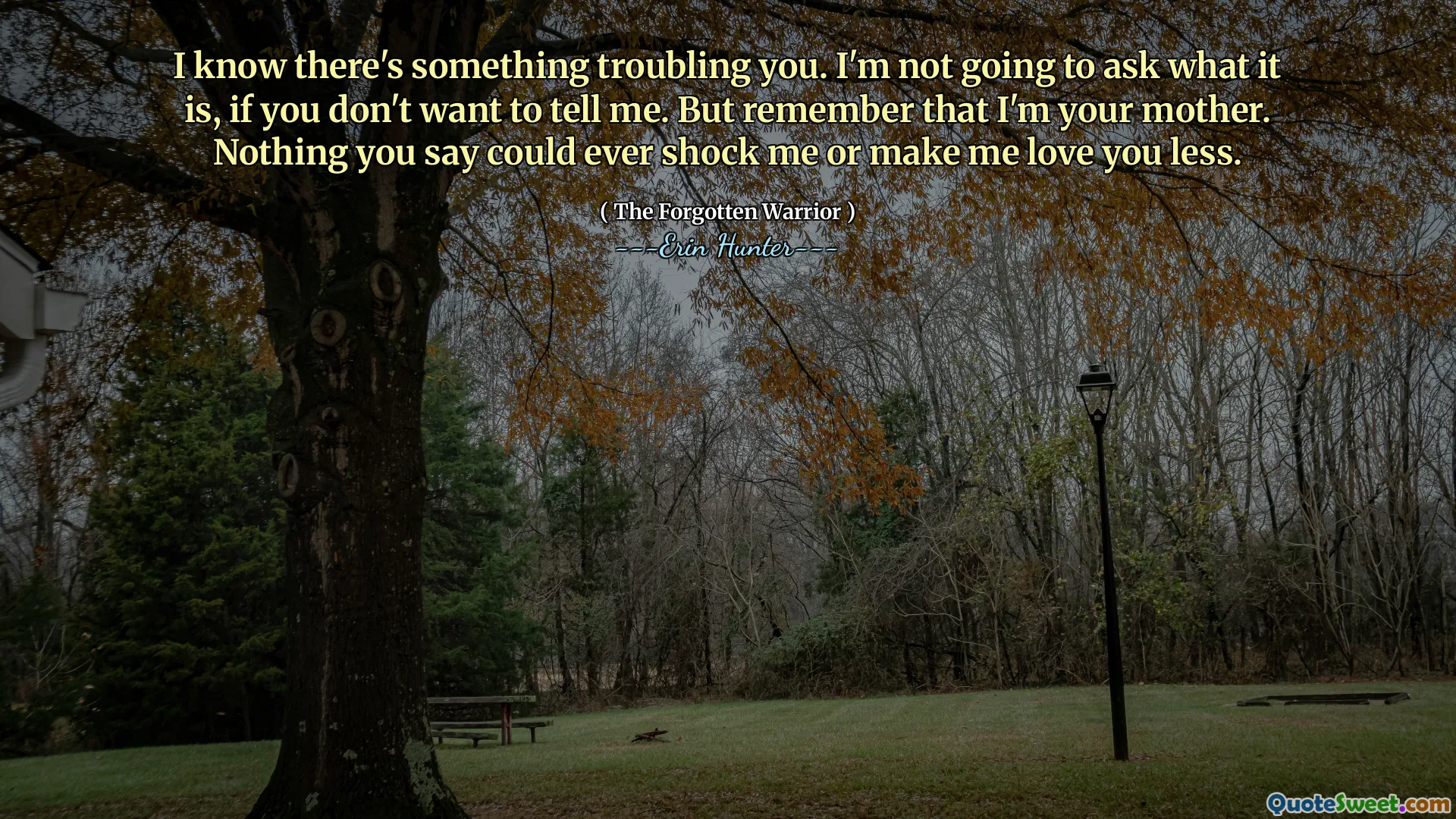 I know there's something troubling you. I'm not going to ask what it is, if you don't want to tell me. But remember that I'm your mother. Nothing you say could ever shock me or make me love you less.