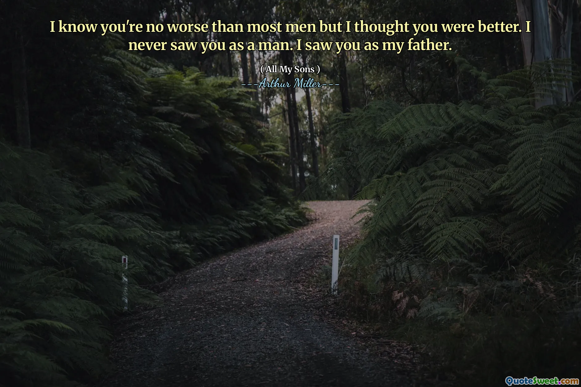 I know you're no worse than most men but I thought you were better. I never saw you as a man. I saw you as my father.