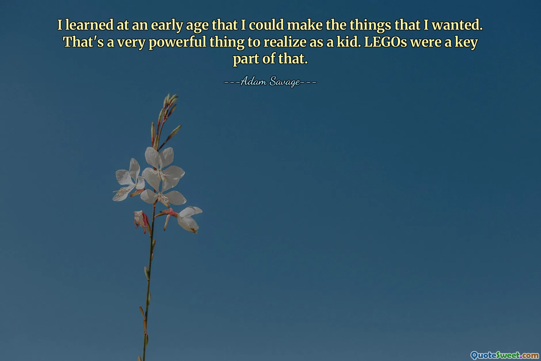I learned at an early age that I could make the things that I wanted. That's a very powerful thing to realize as a kid. LEGOs were a key part of that.