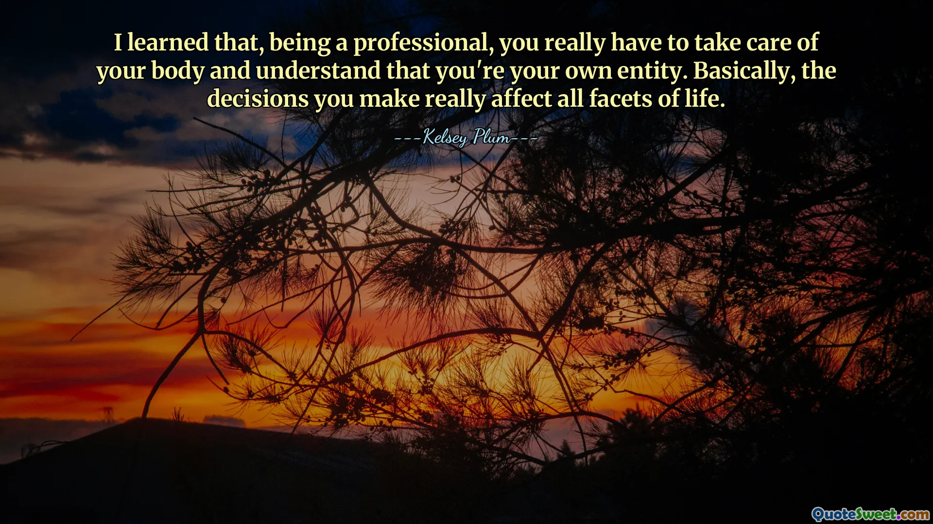 I learned that, being a professional, you really have to take care of your body and understand that you're your own entity. Basically, the decisions you make really affect all facets of life.