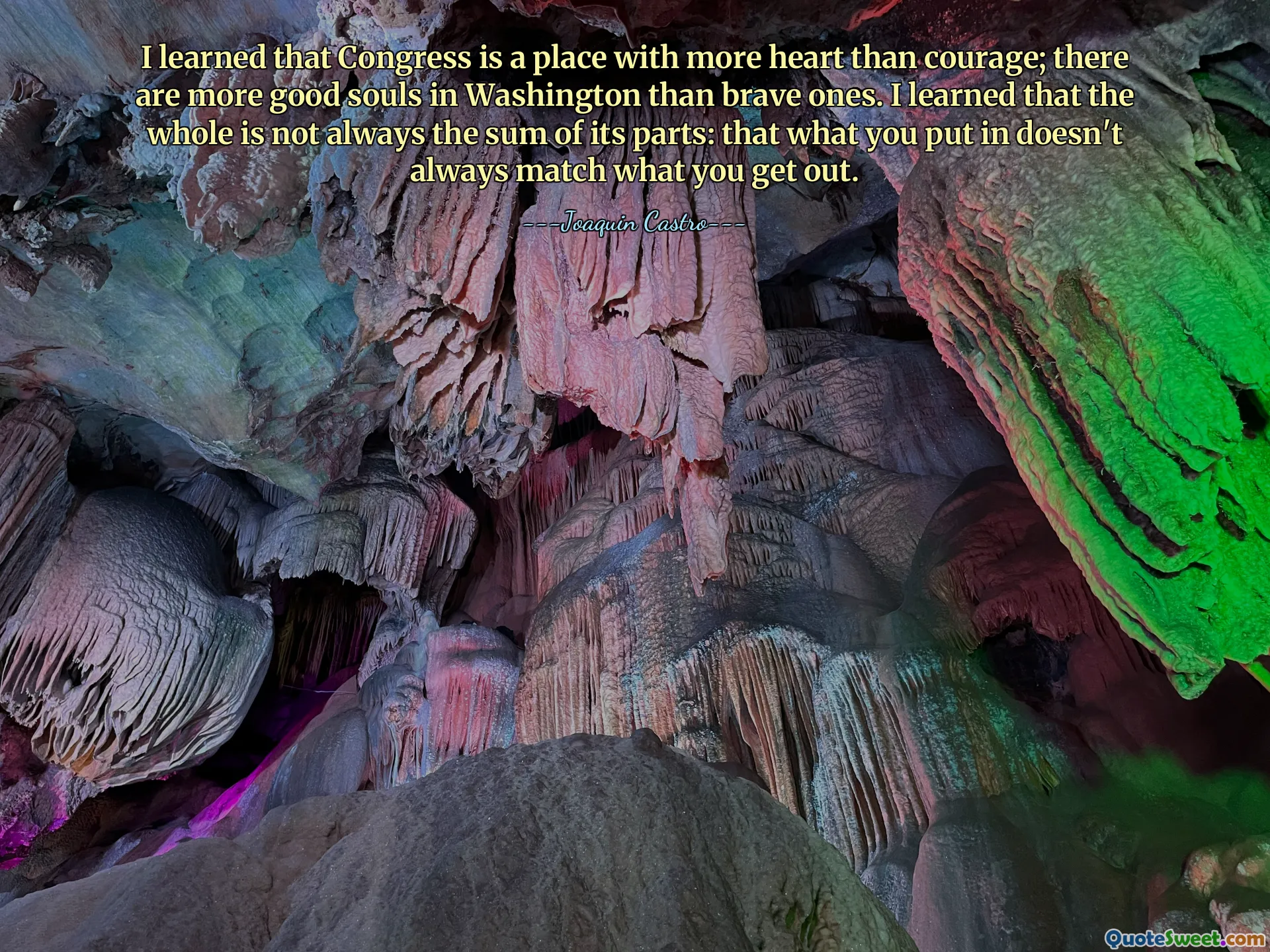 I learned that Congress is a place with more heart than courage; there are more good souls in Washington than brave ones. I learned that the whole is not always the sum of its parts: that what you put in doesn't always match what you get out.