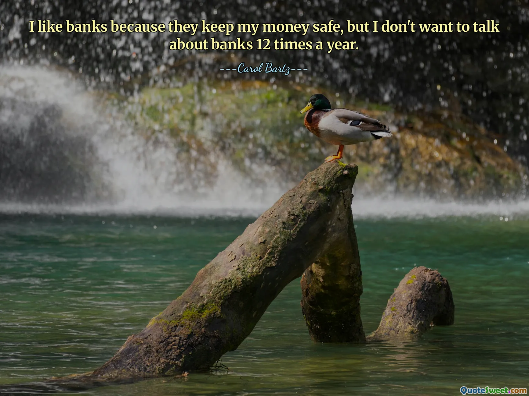 I like banks because they keep my money safe, but I don't want to talk about banks 12 times a year.