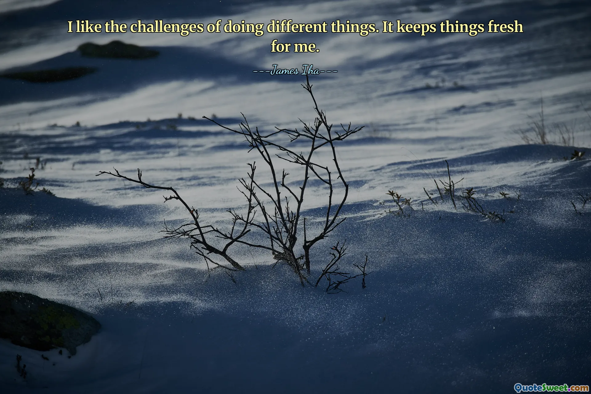 I like the challenges of doing different things. It keeps things fresh for me.