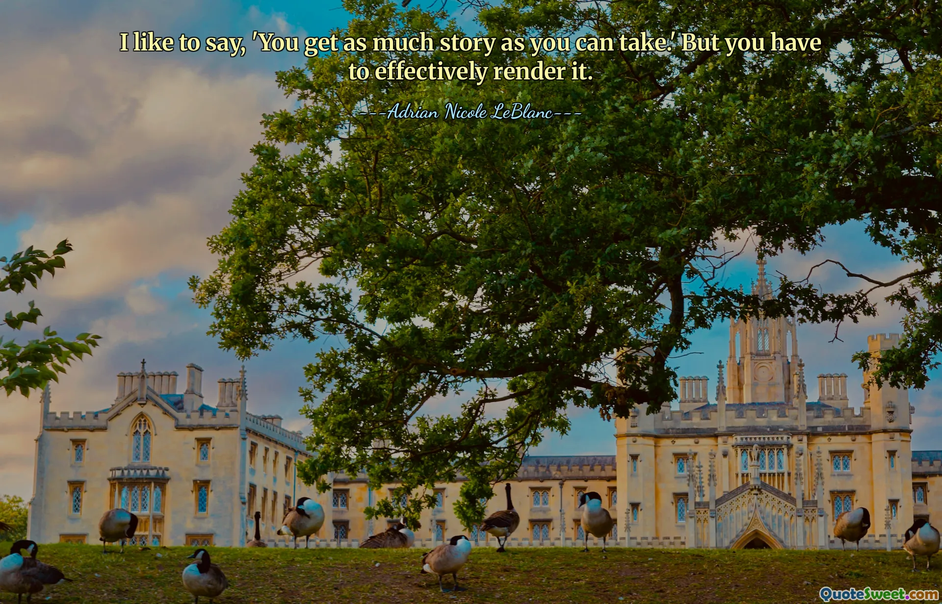 I like to say, 'You get as much story as you can take.' But you have to effectively render it.