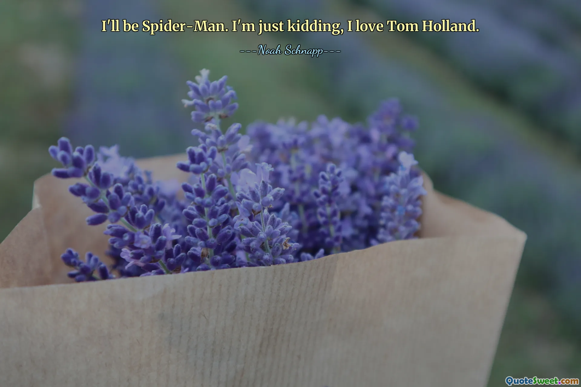 I'll be Spider-Man. I'm just kidding, I love Tom Holland.