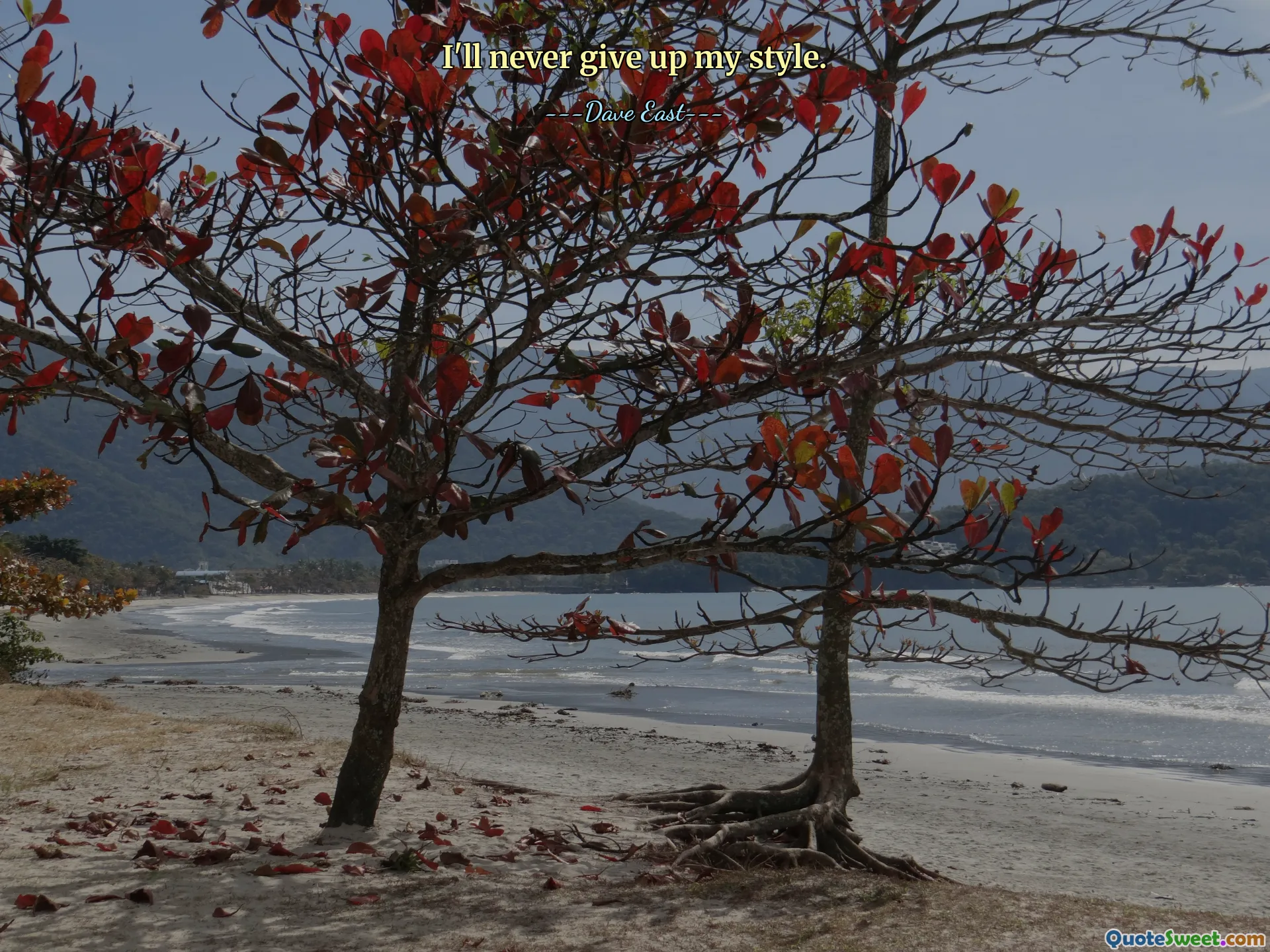 I'll never give up my style.