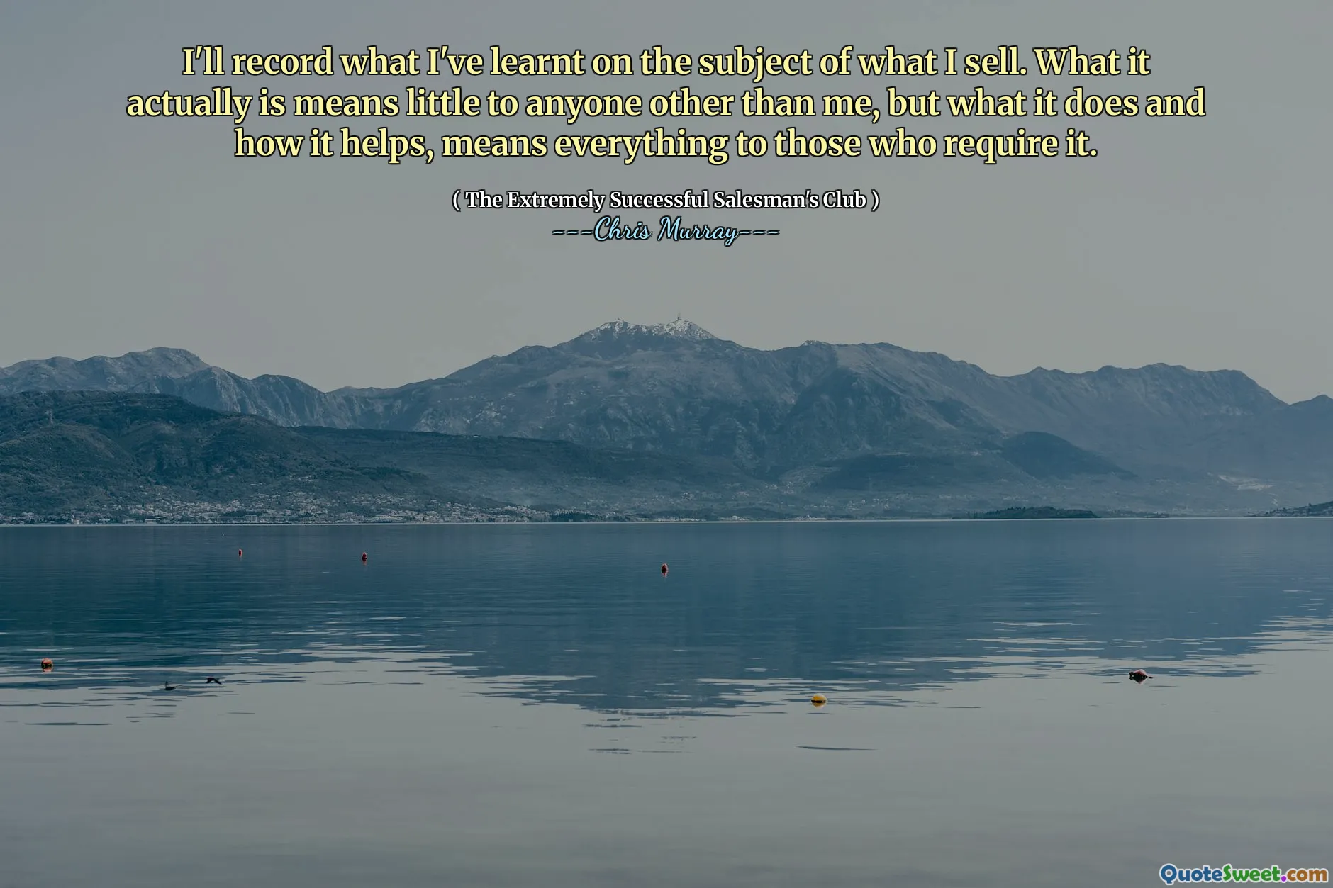 我会记录我在销售的主题上学到的知识。实际上，它对我以外的任何人来说意义不大，但是它的作用以及它的帮助方式对需要它的人意味着一切。