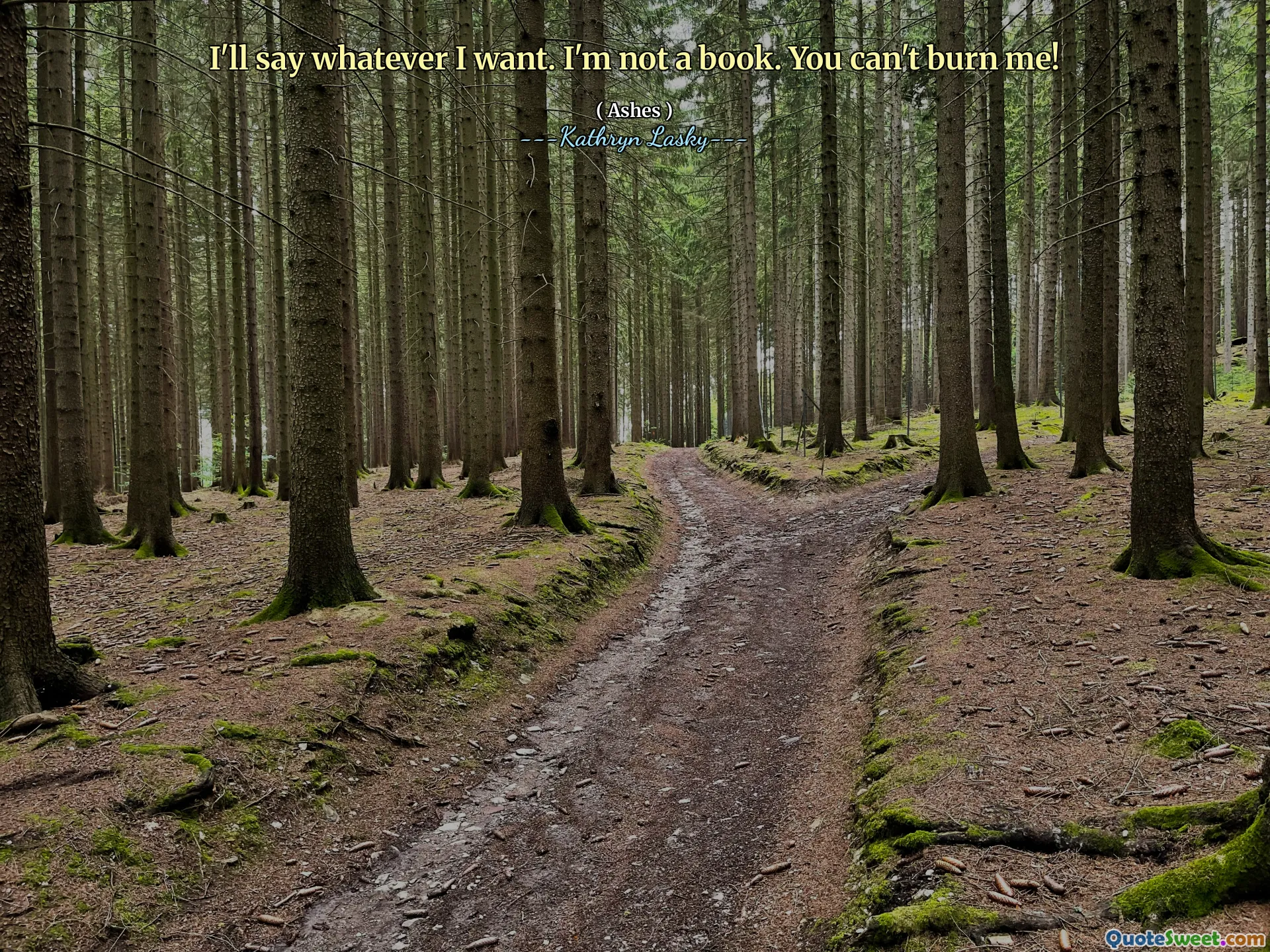 나는 내가 원하는 것을 말할 것이다. 나는 책이 아닙니다. 당신은 나를 태울 수 없습니다!