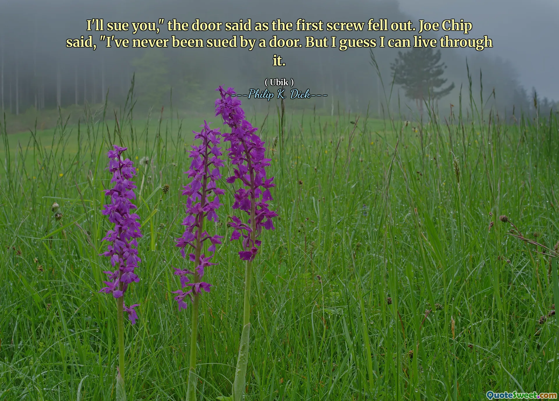 Vou te processar: "A porta disse quando o primeiro parafuso caiu. Joe Chip disse:" Eu nunca fui processado por uma porta. Mas acho que posso viver com isso.