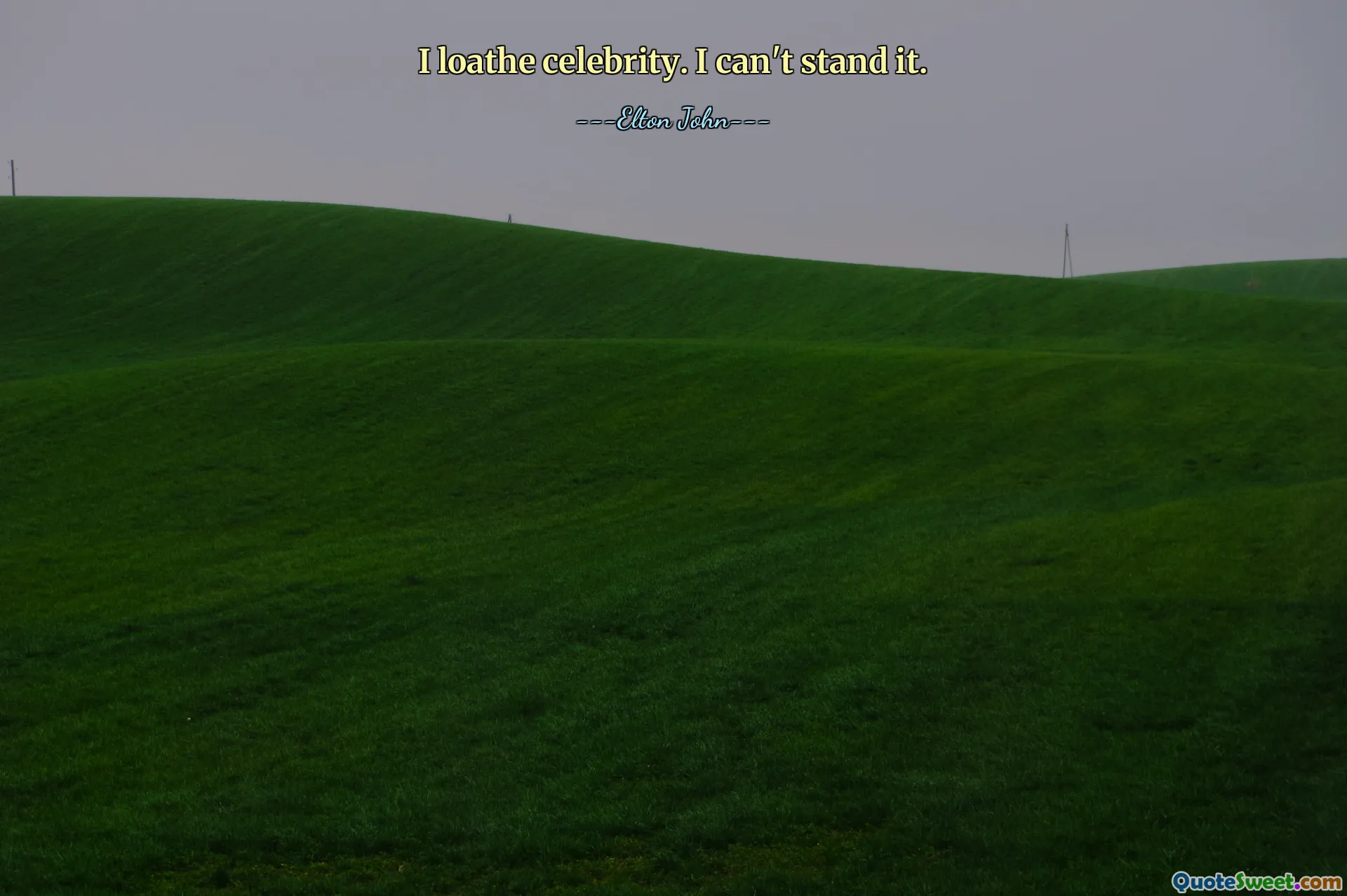 I loathe celebrity. I can't stand it.