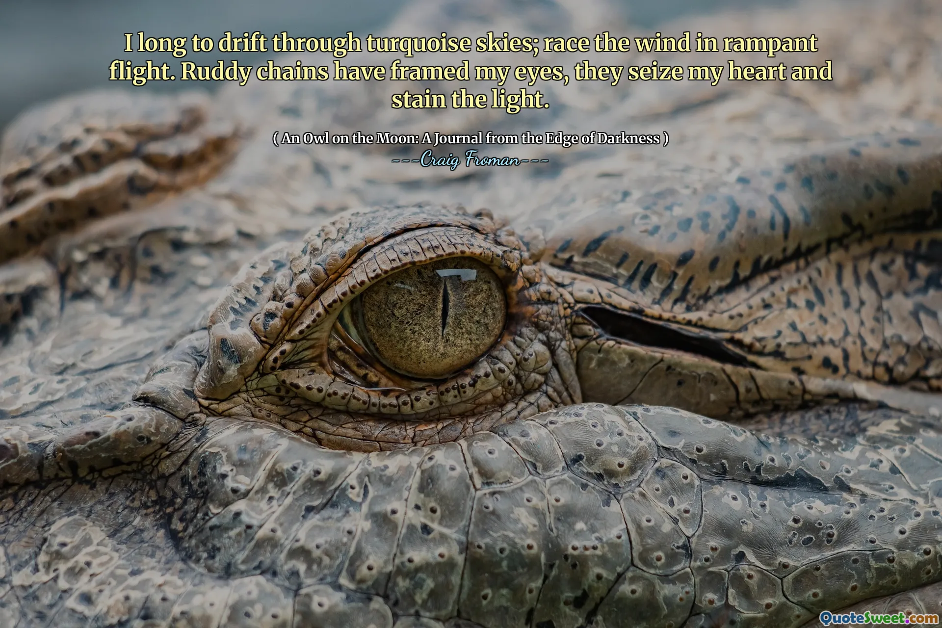 I long to drift through turquoise skies; race the wind in rampant flight. Ruddy chains have framed my eyes, they seize my heart and stain the light.