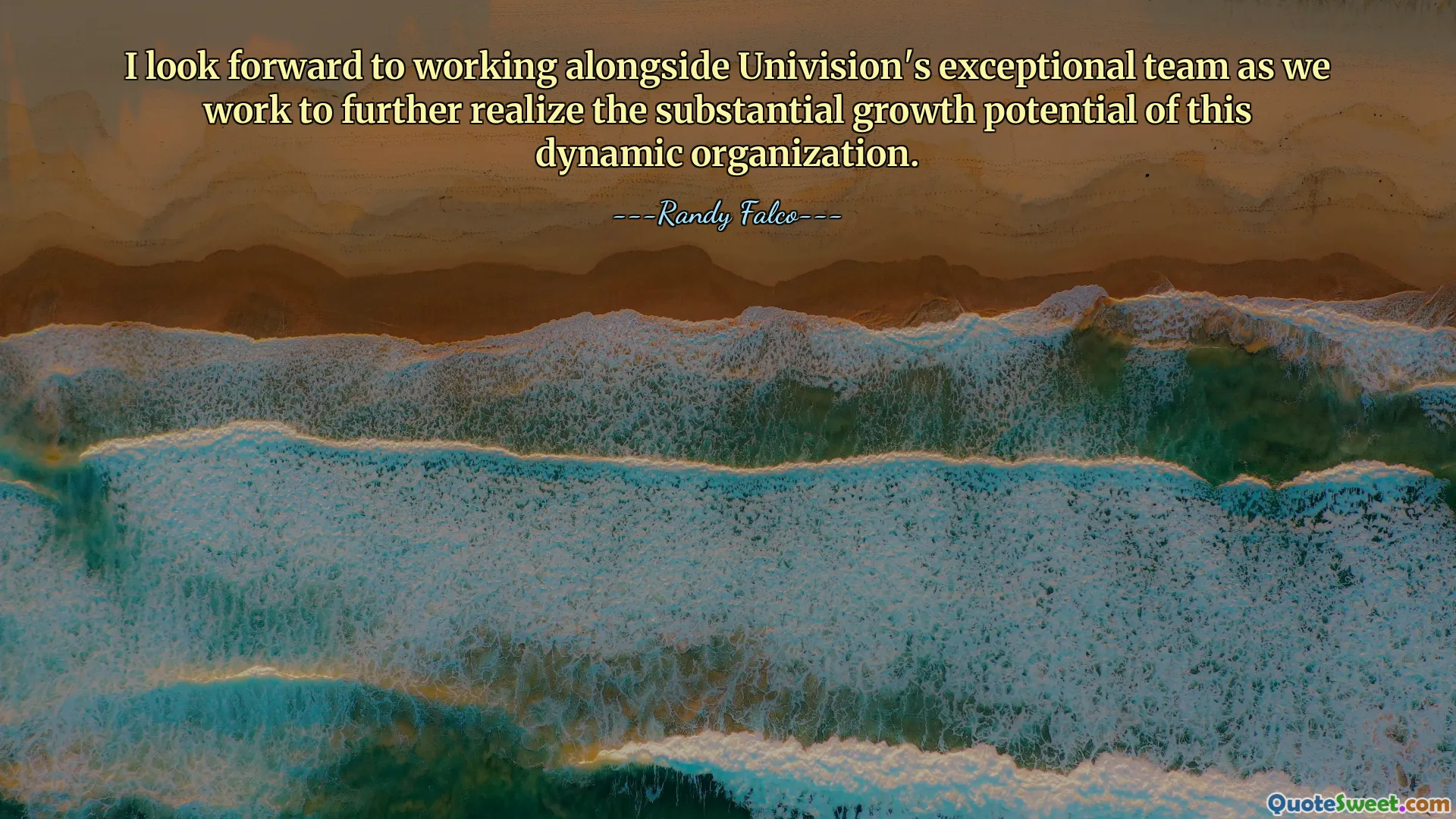 I look forward to working alongside Univision's exceptional team as we work to further realize the substantial growth potential of this dynamic organization.