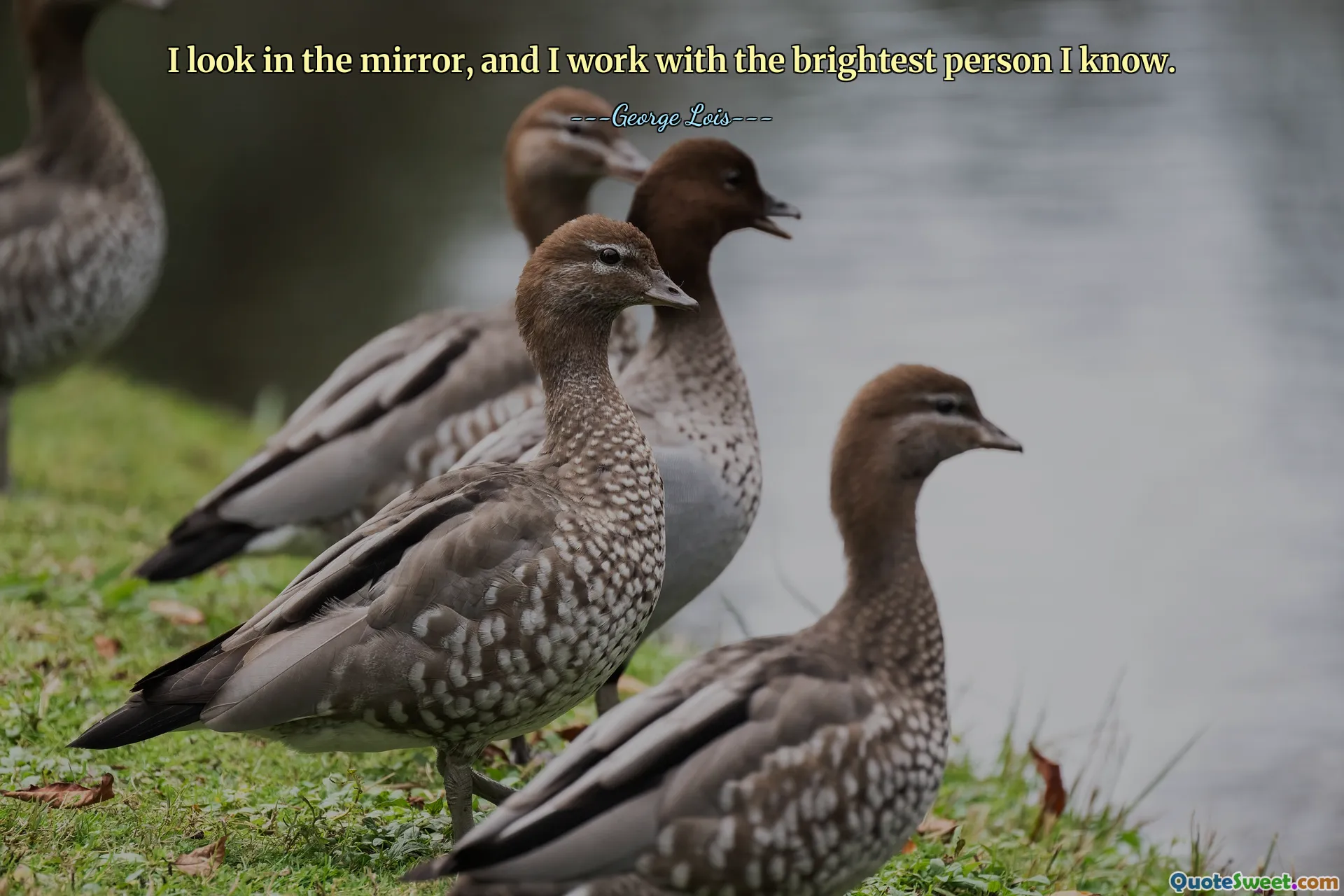 I look in the mirror, and I work with the brightest person I know.