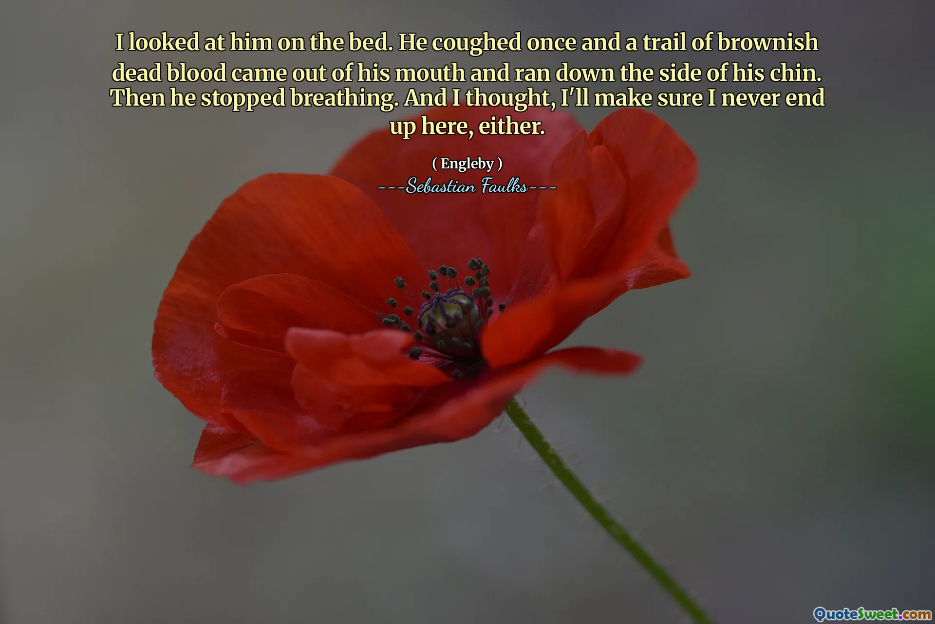 I looked at him on the bed. He coughed once and a trail of brownish dead blood came out of his mouth and ran down the side of his chin. Then he stopped breathing. And I thought, I'll make sure I never end up here, either.