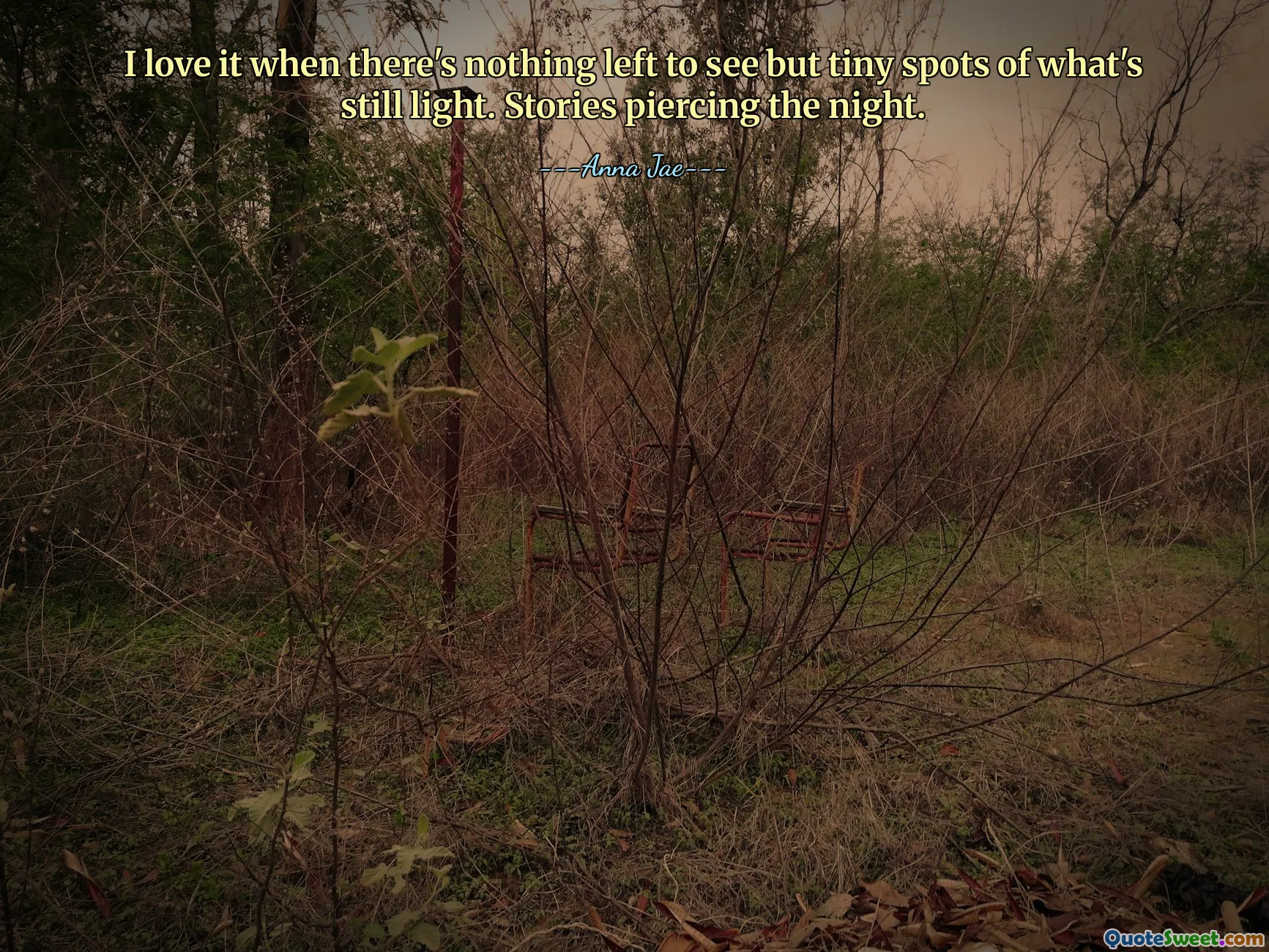 I love it when there's nothing left to see but tiny spots of what's still light. Stories piercing the night.