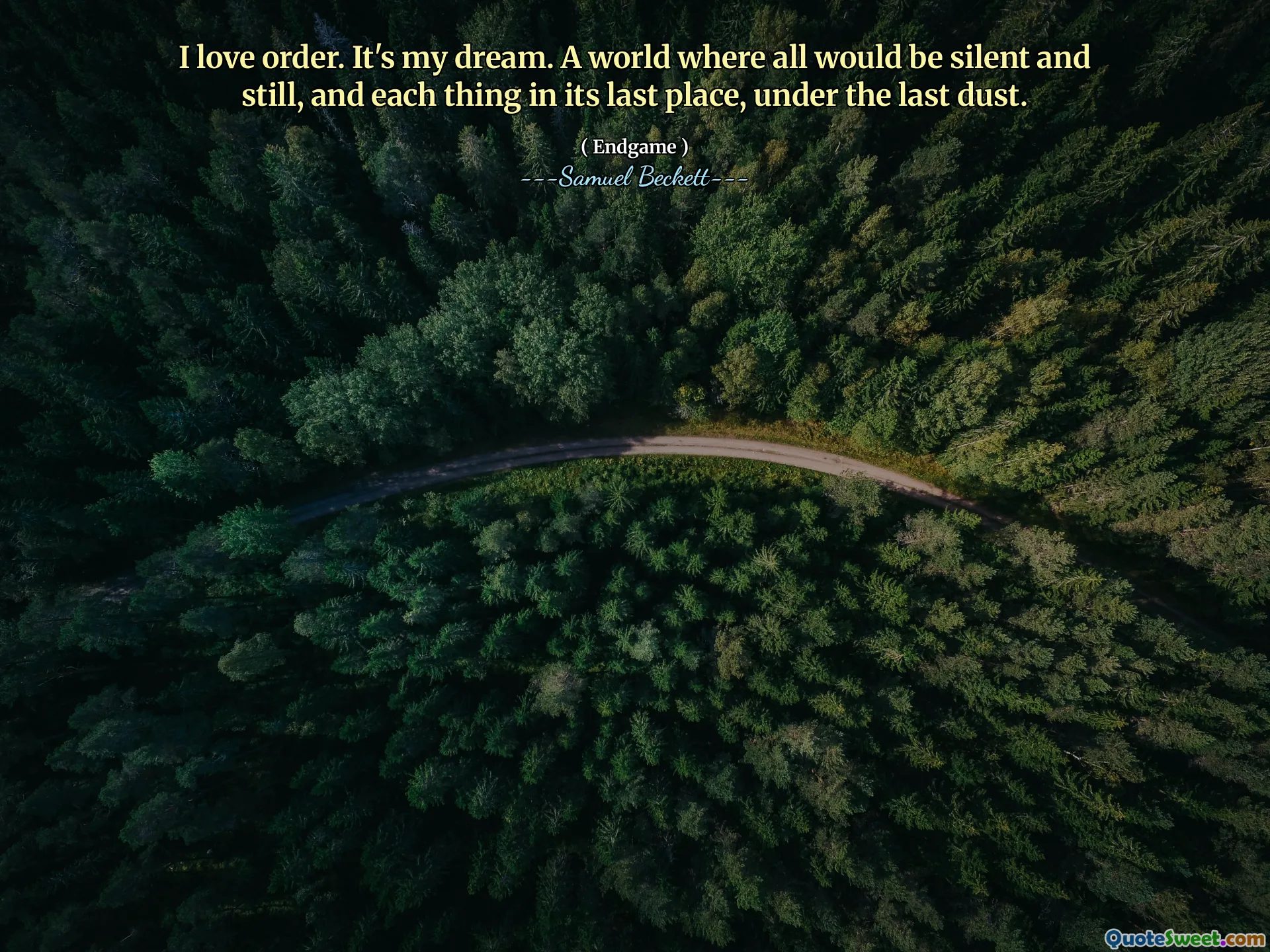 I love order. It's my dream. A world where all would be silent and still, and each thing in its last place, under the last dust.