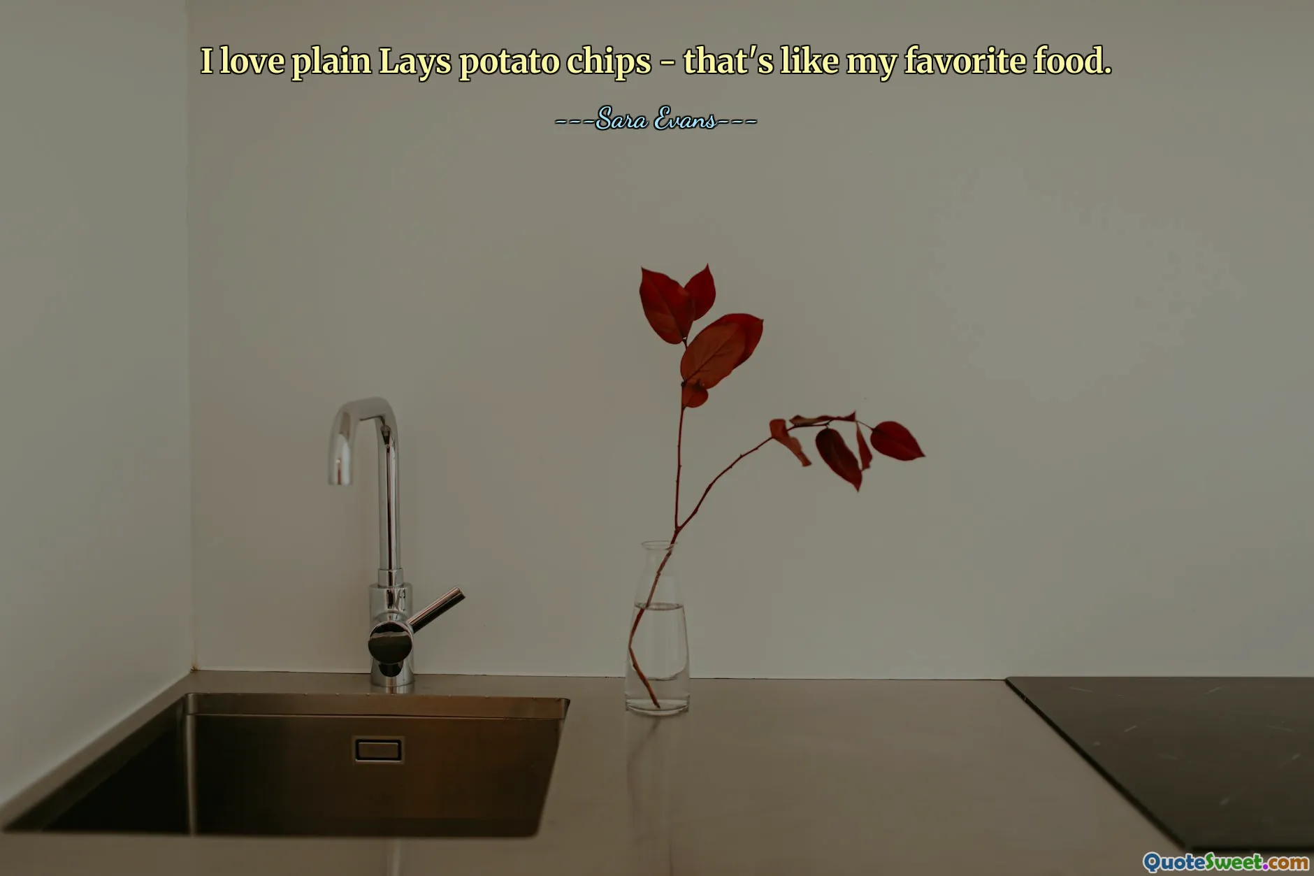 I love plain Lays potato chips - that's like my favorite food.