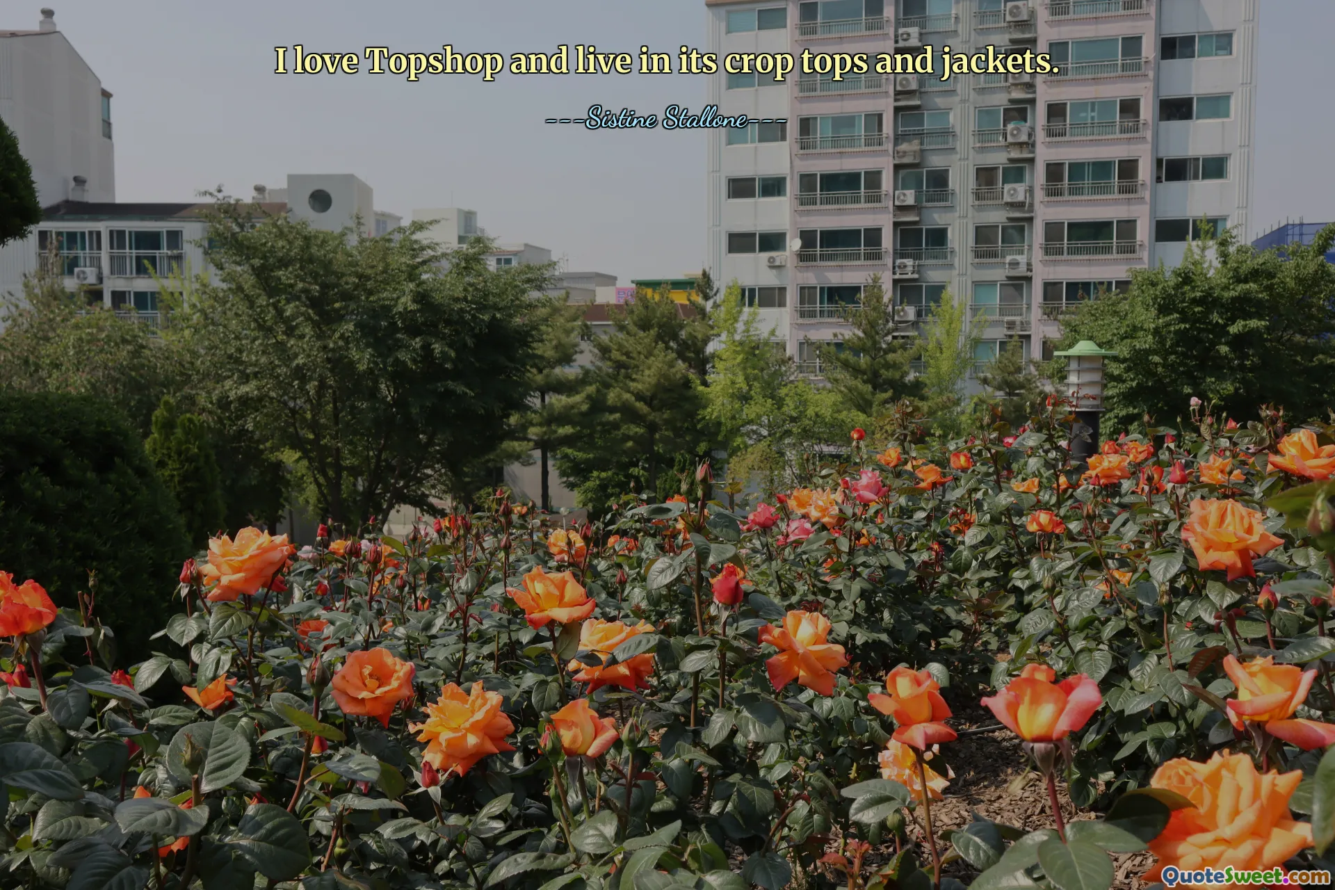 I love Topshop and live in its crop tops and jackets.