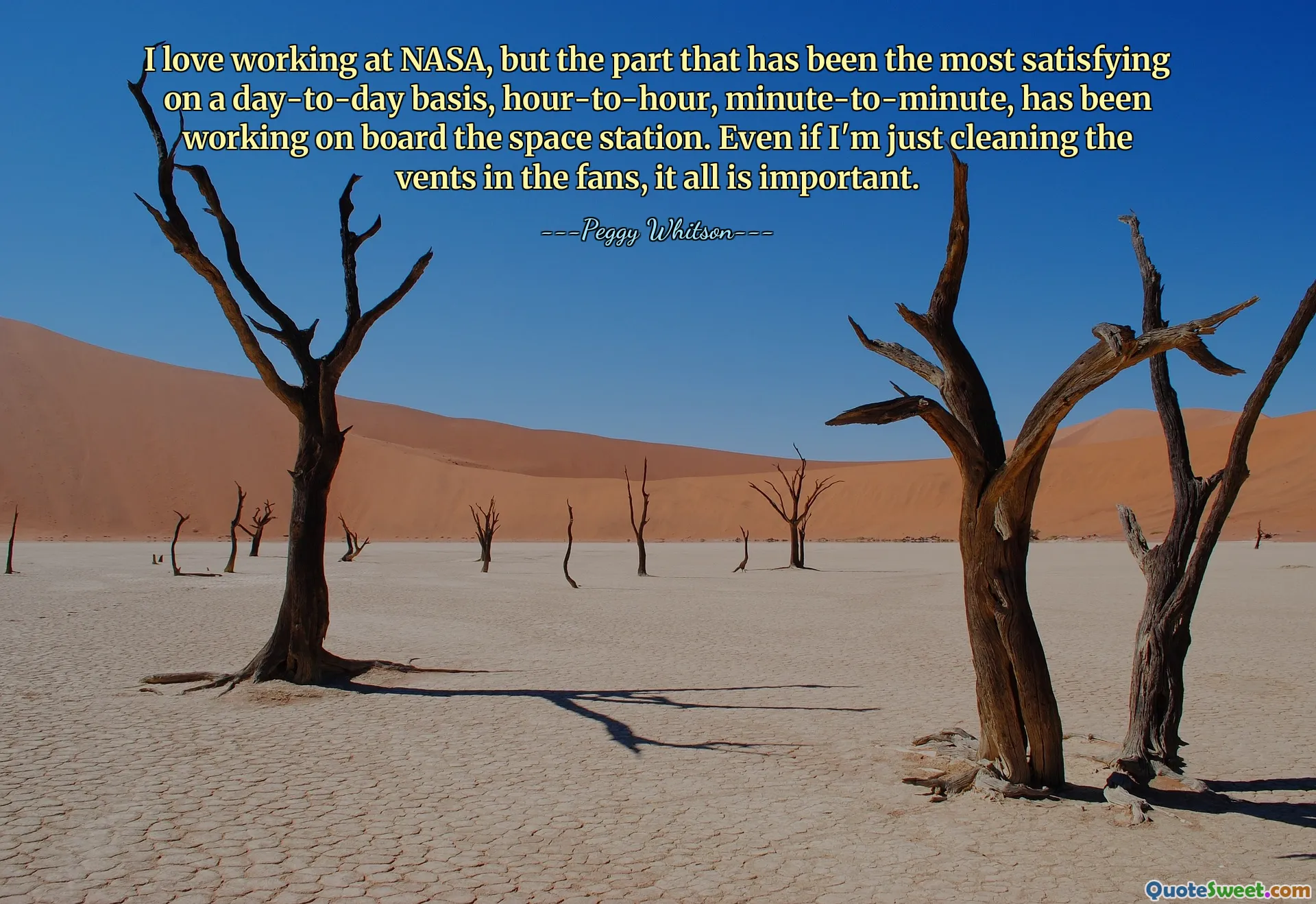 I love working at NASA, but the part that has been the most satisfying on a day-to-day basis, hour-to-hour, minute-to-minute, has been working on board the space station. Even if I'm just cleaning the vents in the fans, it all is important.