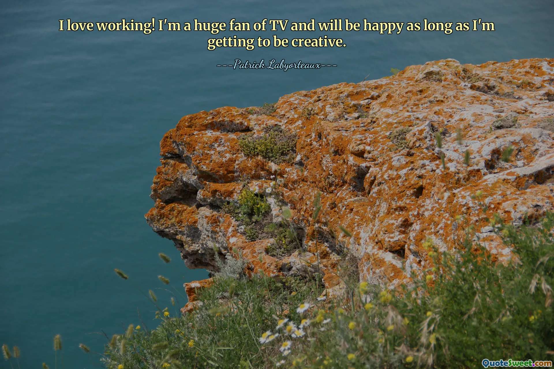 I love working! I'm a huge fan of TV and will be happy as long as I'm getting to be creative.