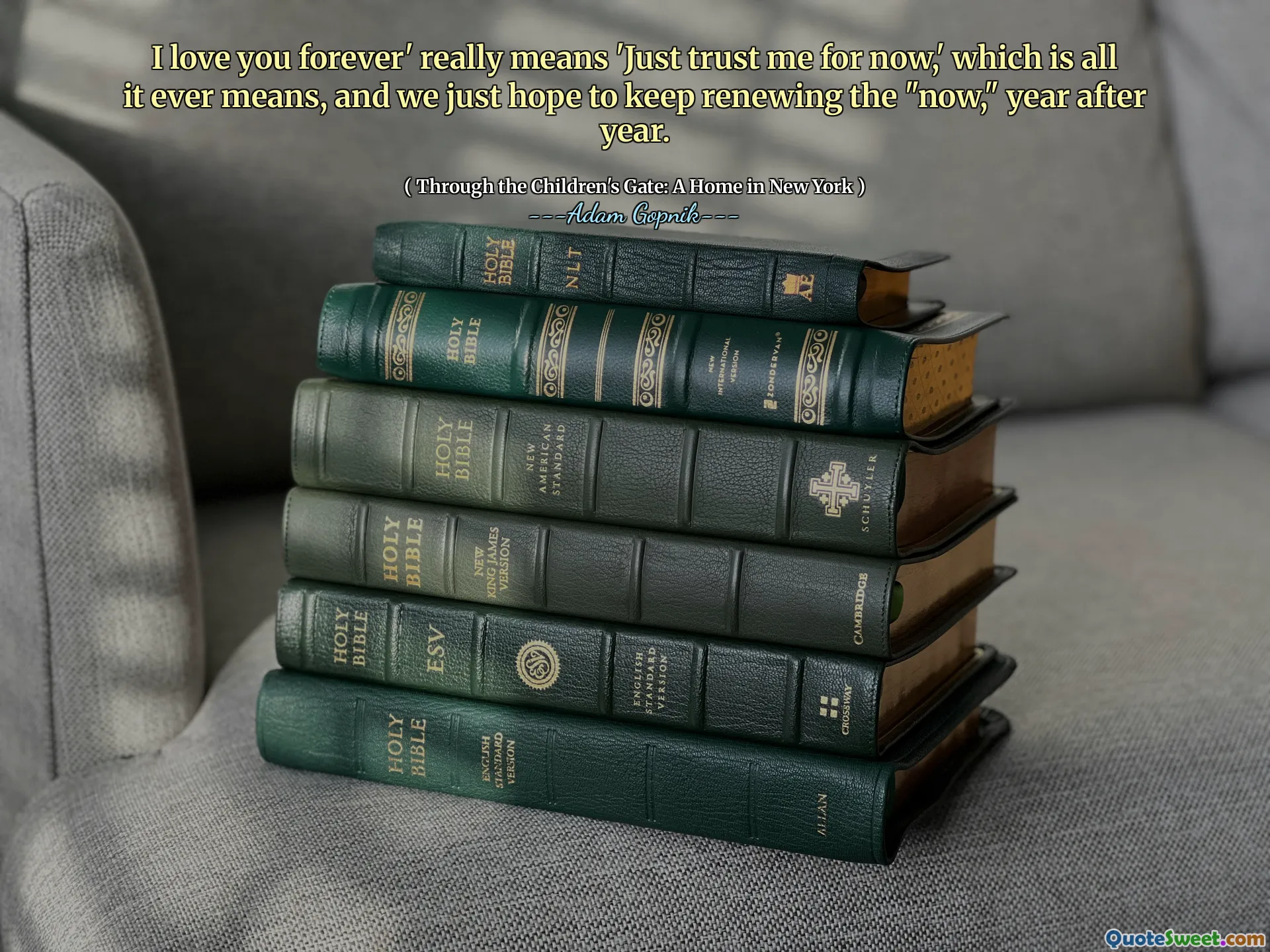 Seni sonsuza dek seviyorum 'gerçekten' şimdilik bana güvenin 'anlamına gelir, bu da her zaman demektir ve sadece "şimdi" i yenilemeye devam etmeyi umuyoruz.