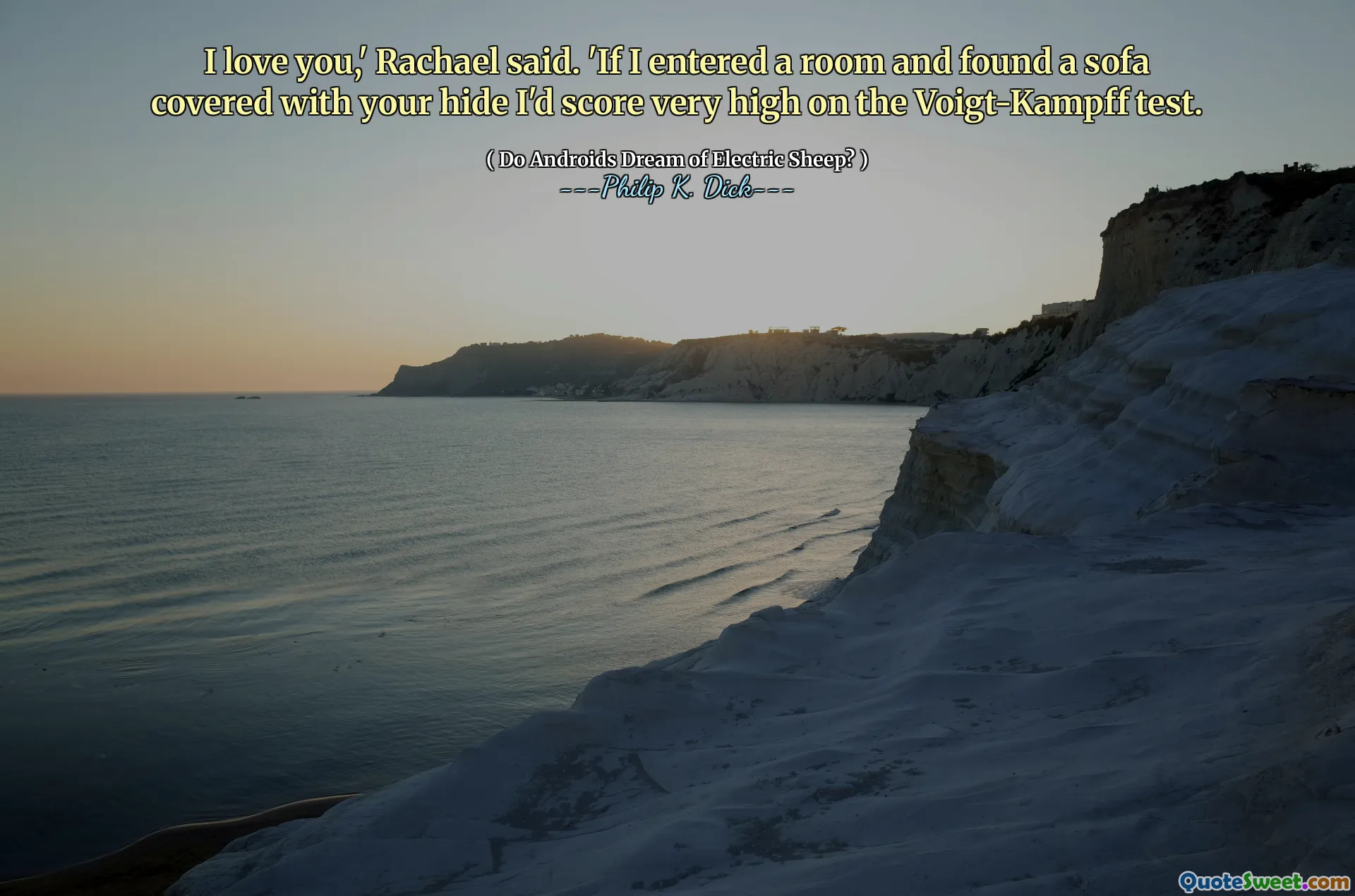 मैं तुमसे प्यार करता हूँ, 'राचेल ने कहा। 'अगर मैंने एक कमरे में प्रवेश किया और अपने छिपाने के साथ एक सोफे को कवर किया, तो मैं Voigt-campff परीक्षण पर बहुत अधिक स्कोर करता हूं।