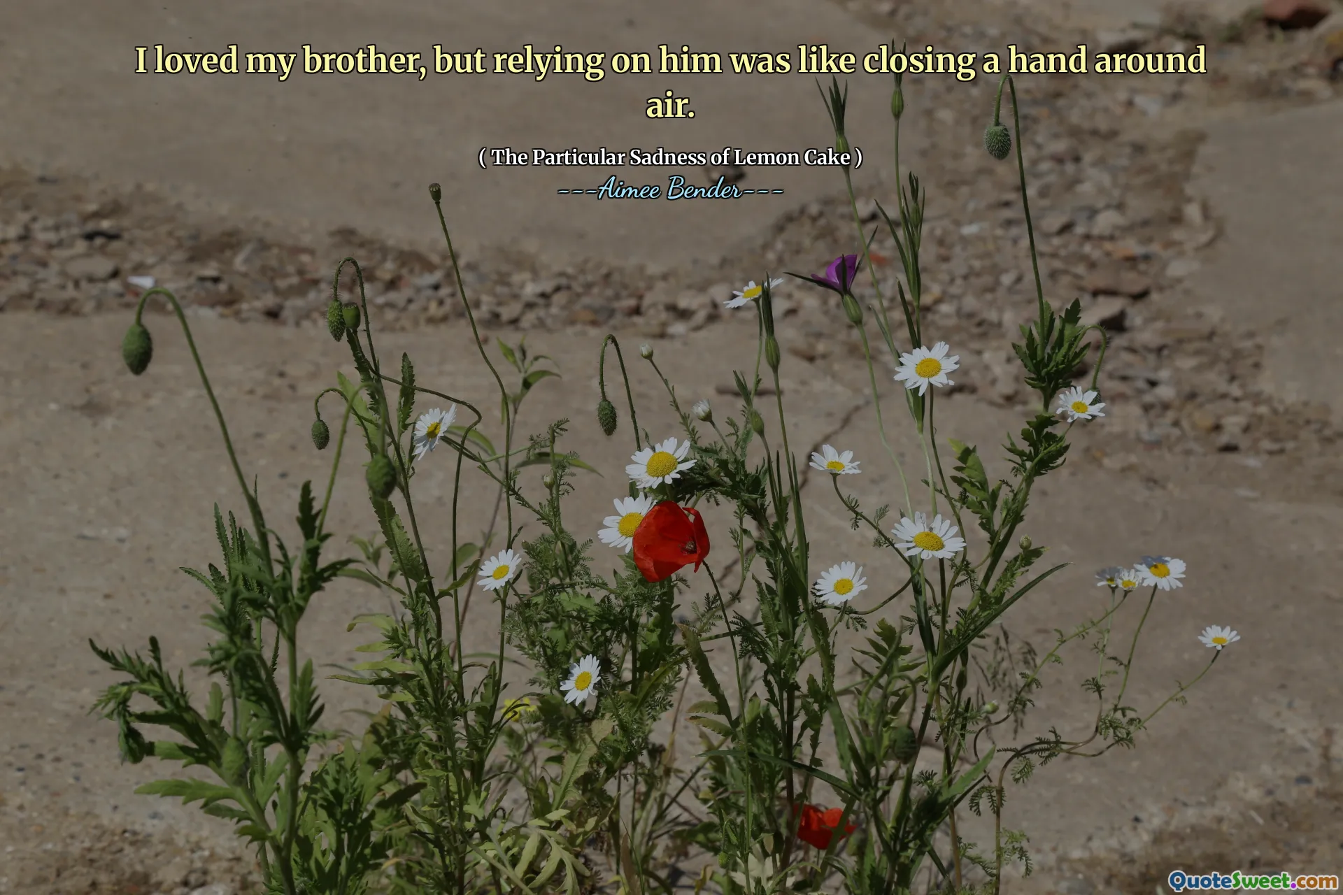 I loved my brother, but relying on him was like closing a hand around air.