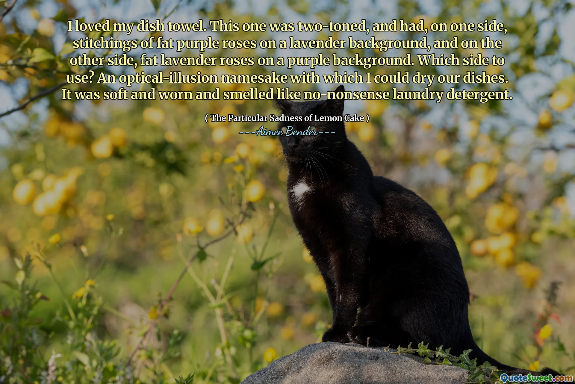 I loved my dish towel. This one was two-toned, and had, on one side, stitchings of fat purple roses on a lavender background, and on the other side, fat lavender roses on a purple background. Which side to use? An optical-illusion namesake with which I could dry our dishes. It was soft and worn and smelled like no-nonsense laundry detergent.
