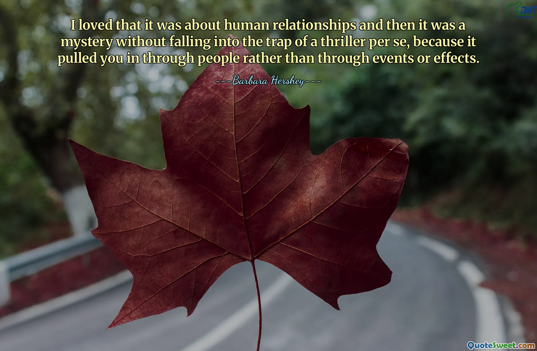 I loved that it was about human relationships and then it was a mystery without falling into the trap of a thriller per se, because it pulled you in through people rather than through events or effects.