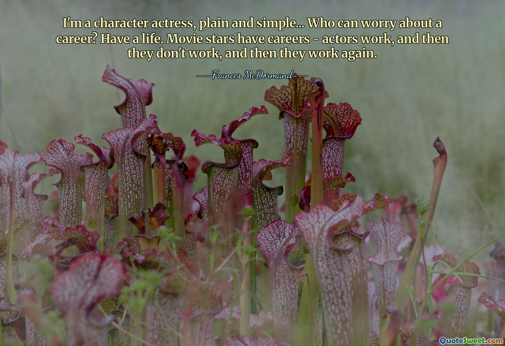 I'm a character actress, plain and simple... Who can worry about a career? Have a life. Movie stars have careers - actors work, and then they don't work, and then they work again.