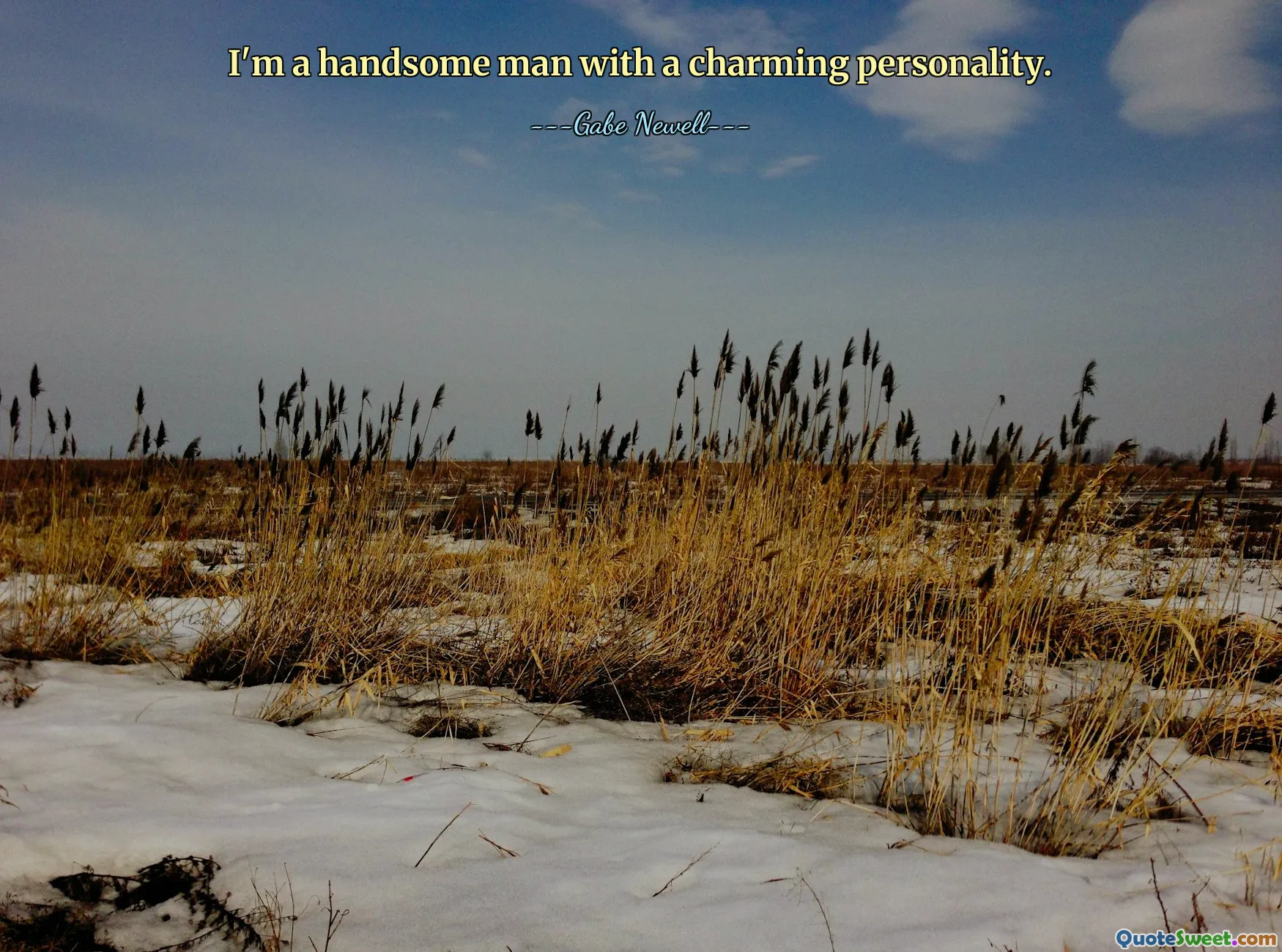 I'm a handsome man with a charming personality.