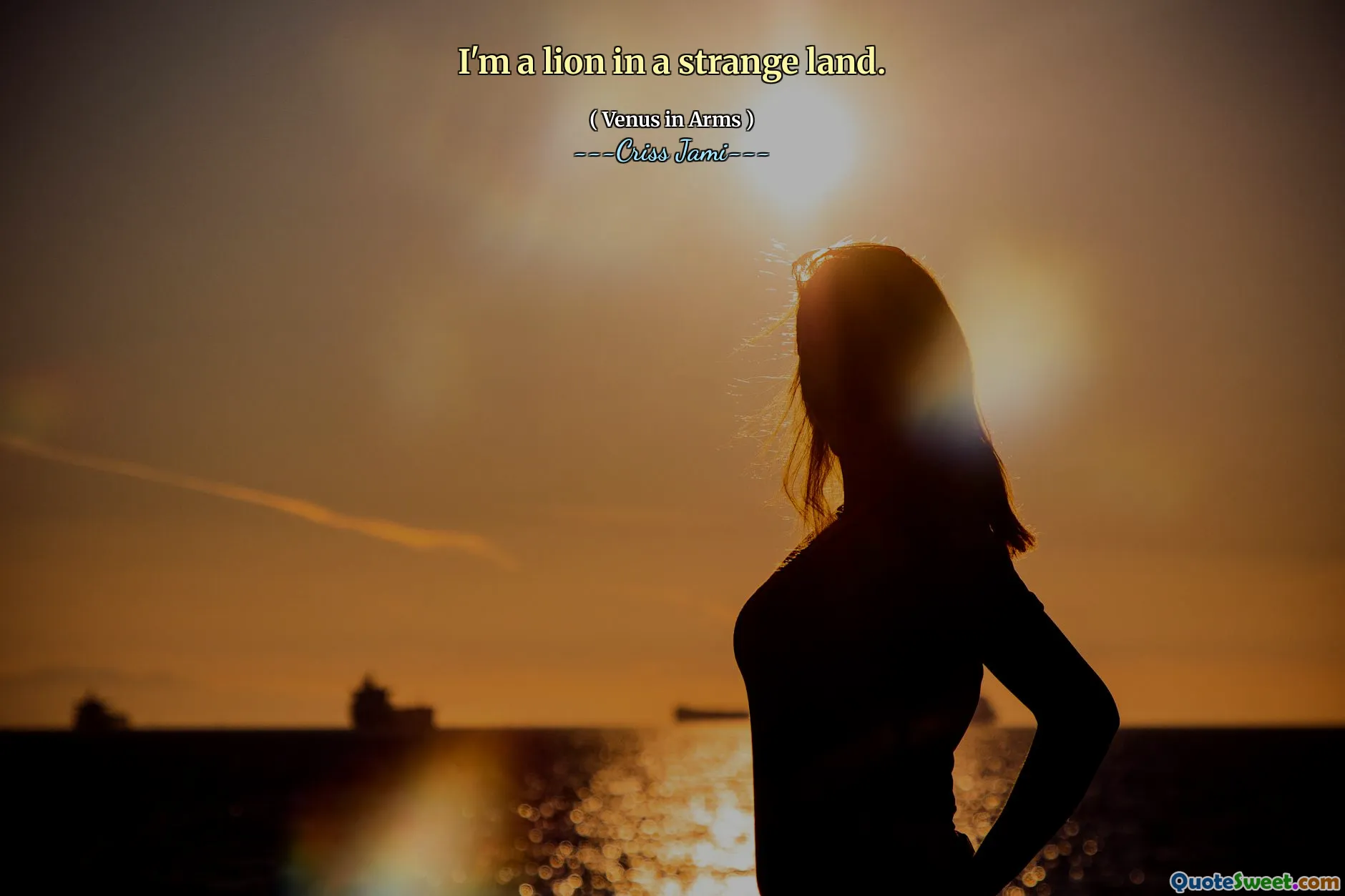 I'm a lion in a strange land.