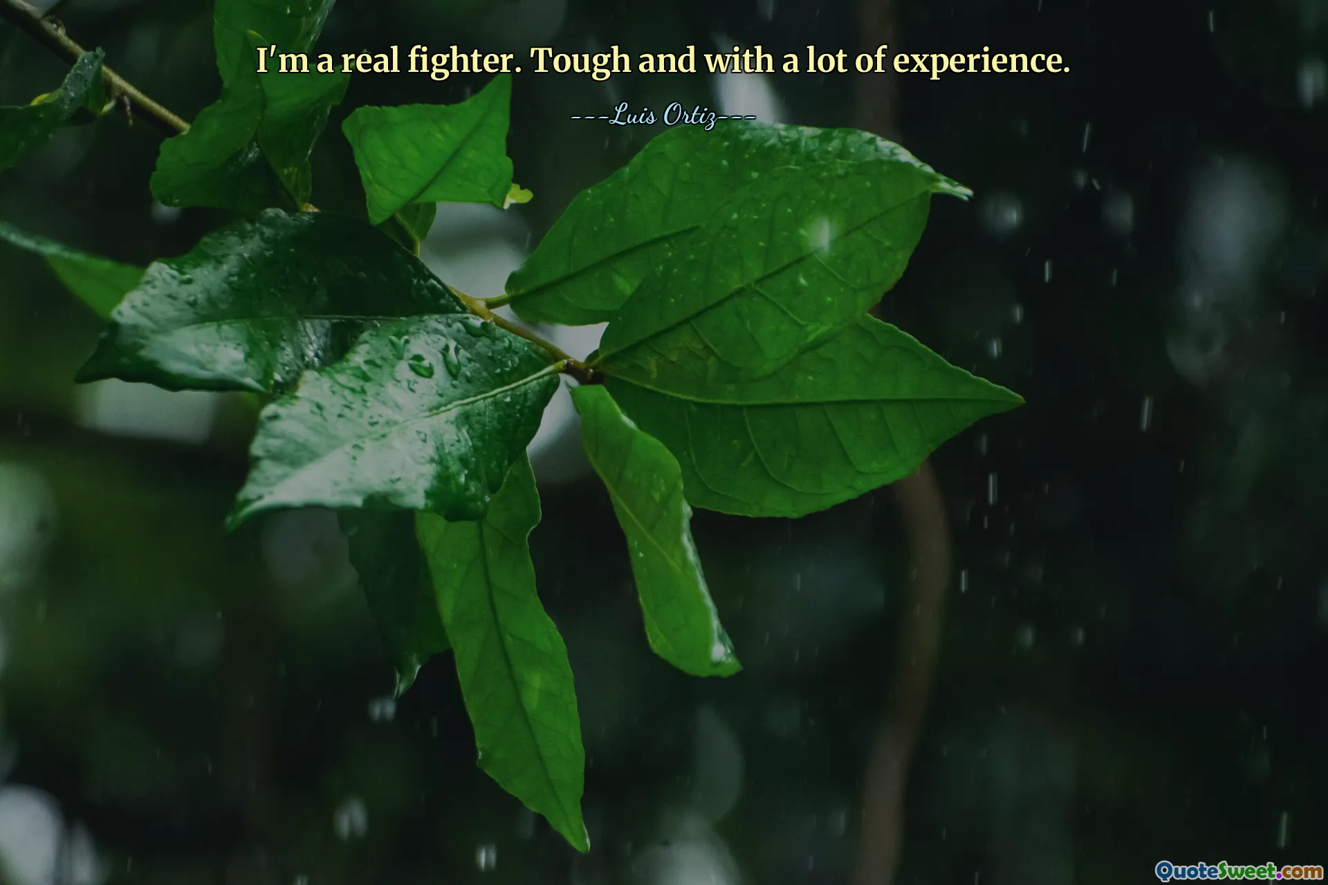I'm a real fighter. Tough and with a lot of experience.