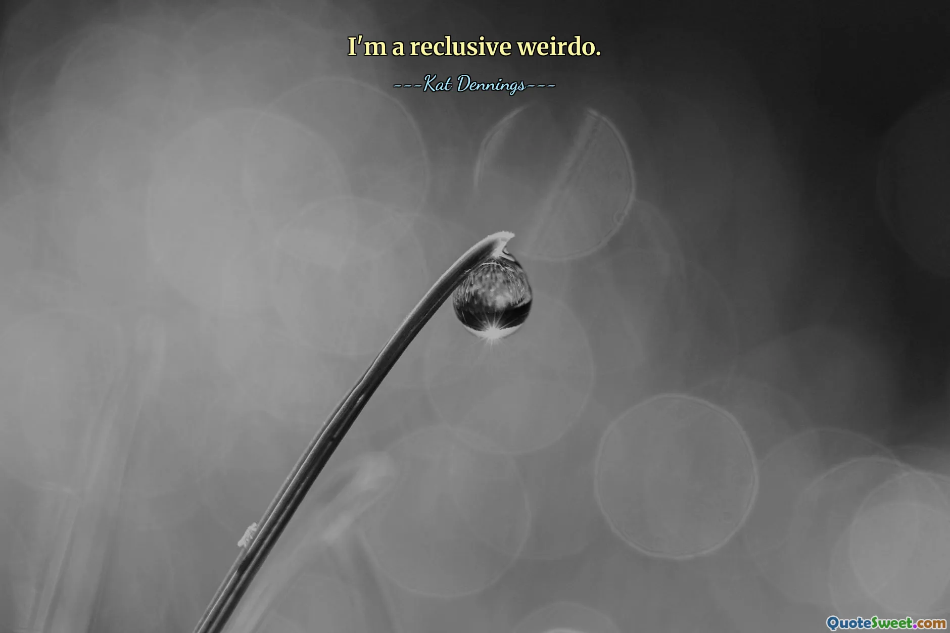 I'm a reclusive weirdo.