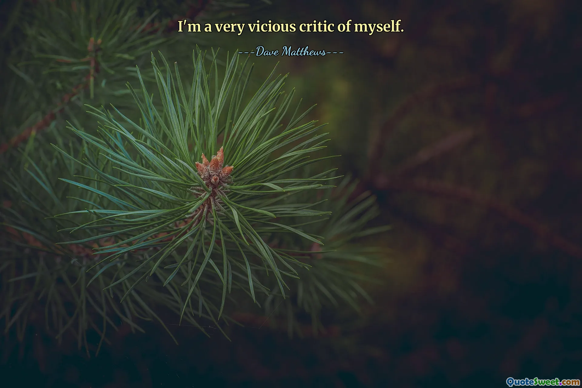 I'm a very vicious critic of myself.