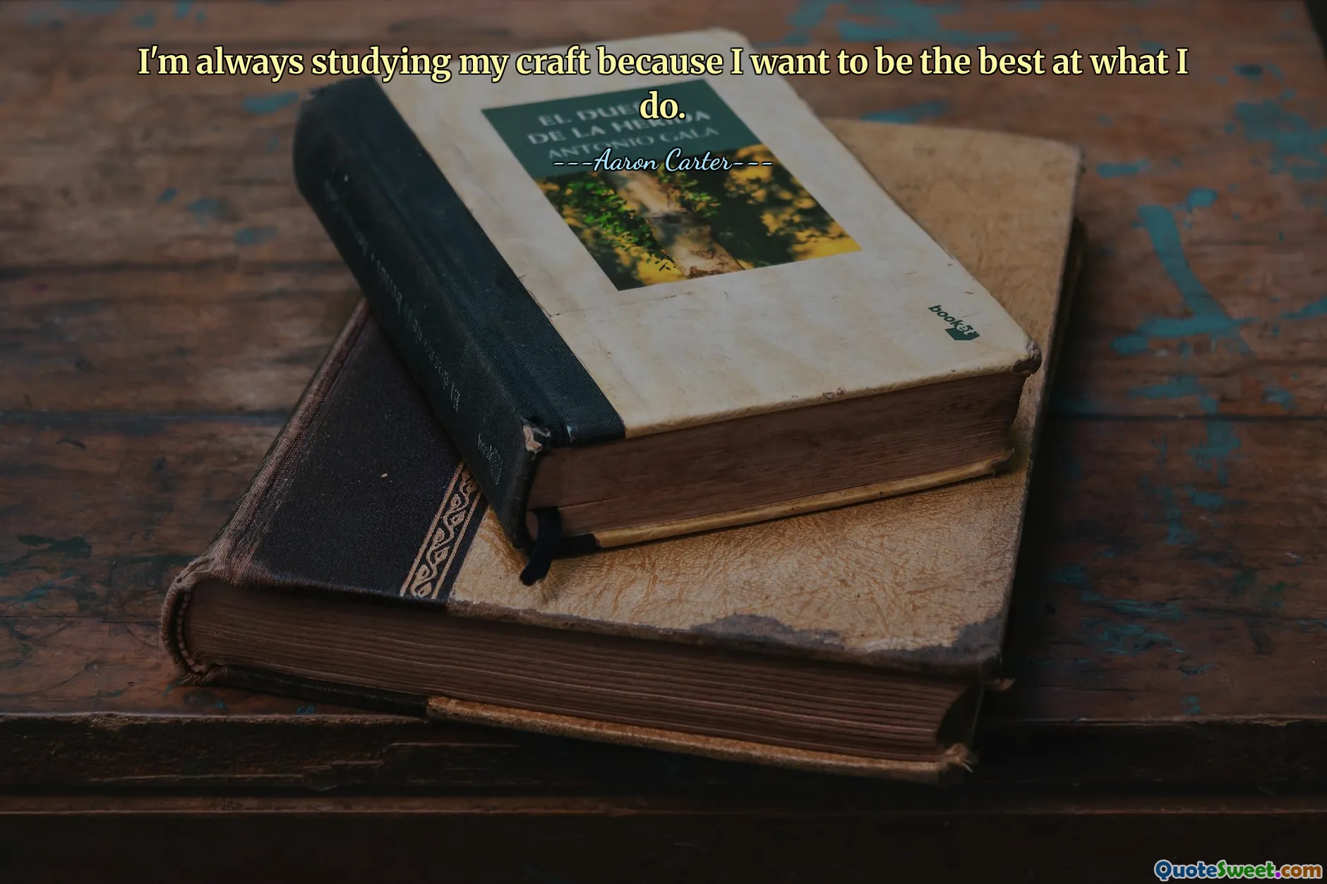 我一直在研究我的手艺，因为我想在我所做的事情上做到最好。